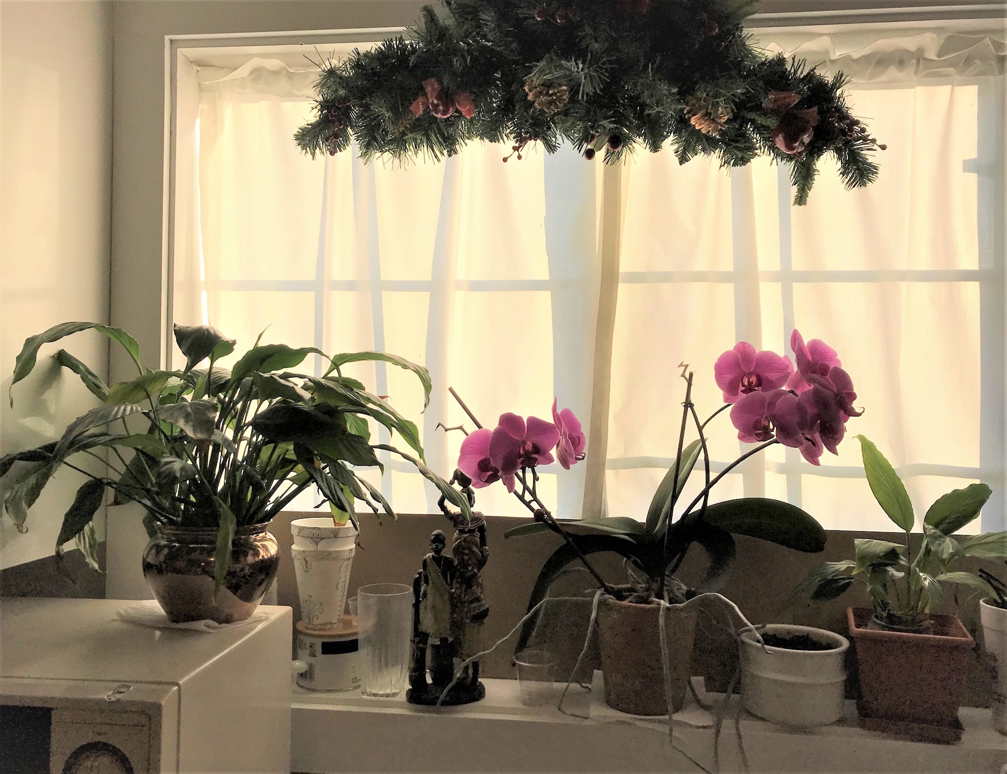 Four Square Community Action Andrews