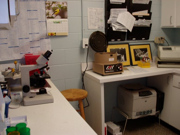 VCA Apex Animal Hospital Apex