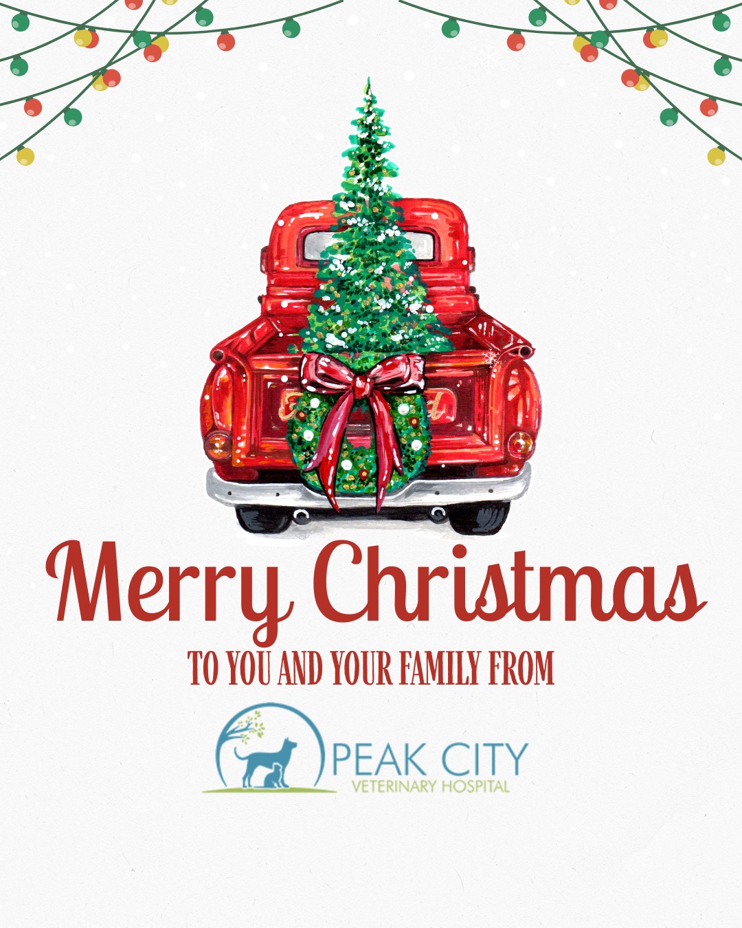 Peak City Veterinary Hospital Apex