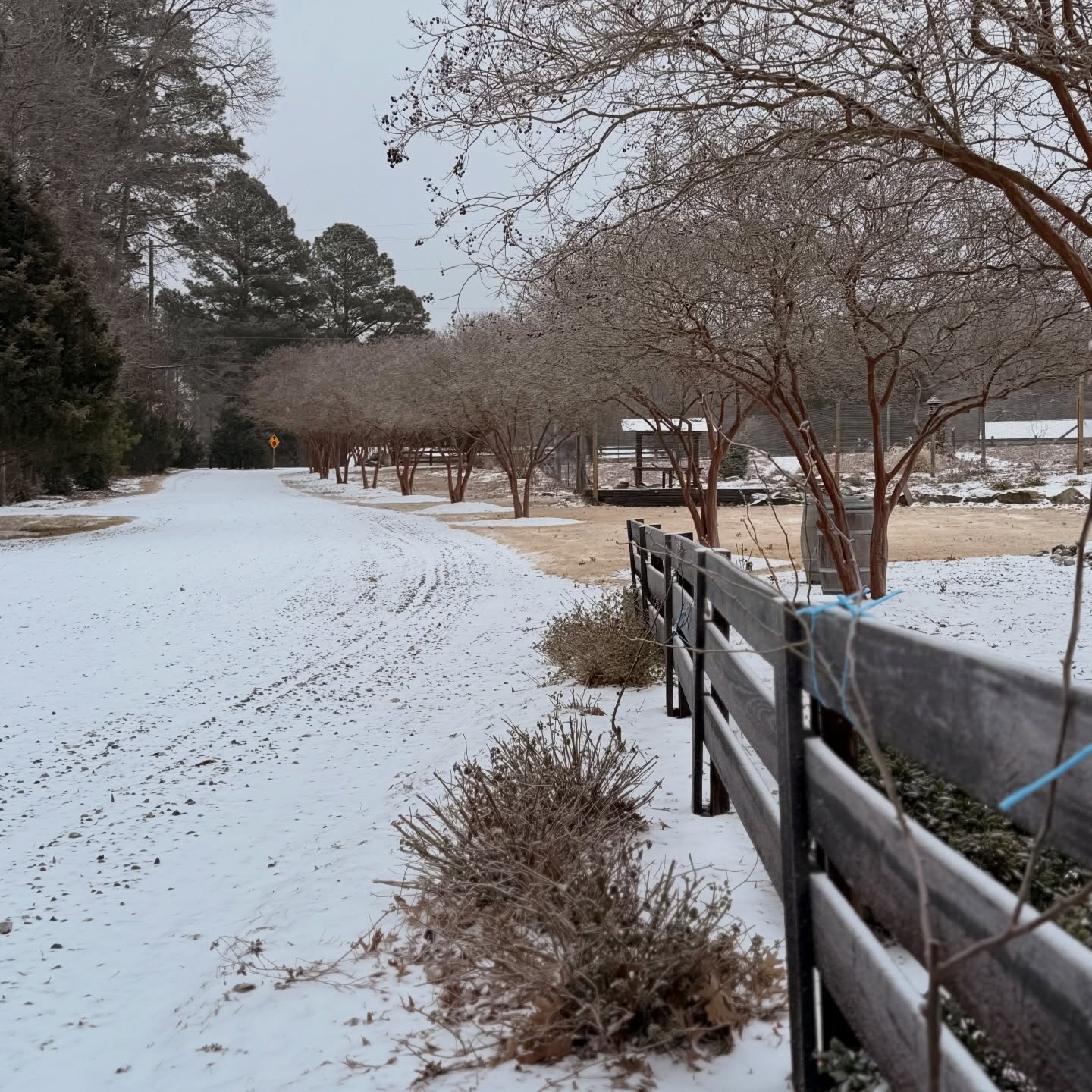 Cloer Family Vineyards Apex