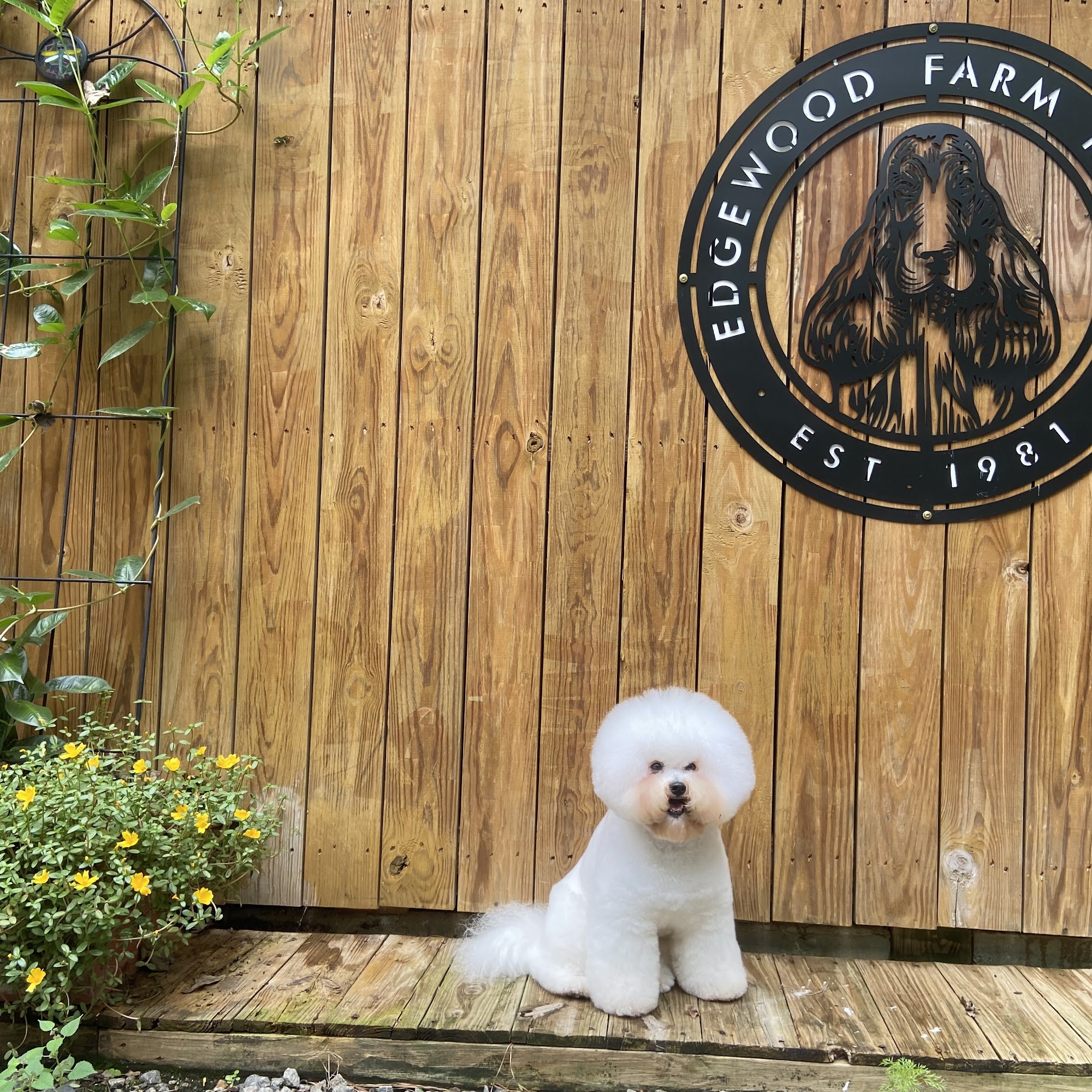 Edgewood Farm Kennel Apex