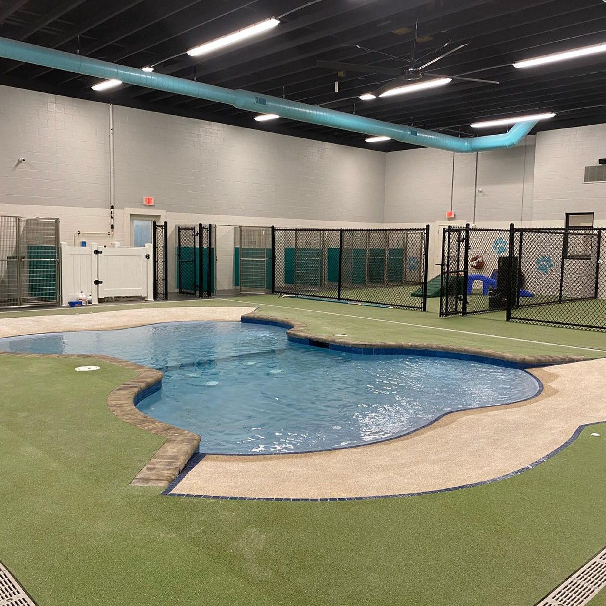 Pet Paradise Cary Apex