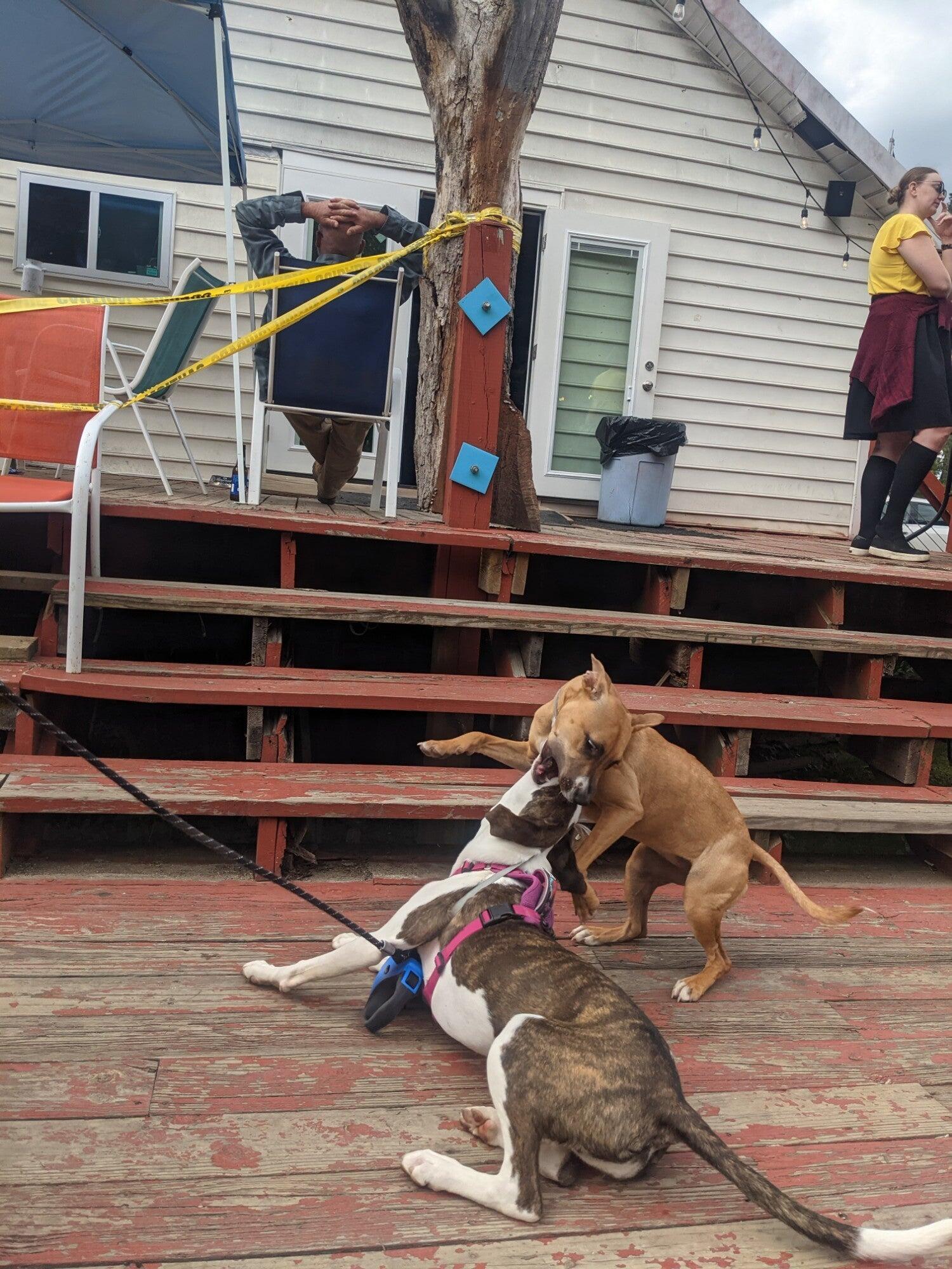 Photo credit: nextdoor