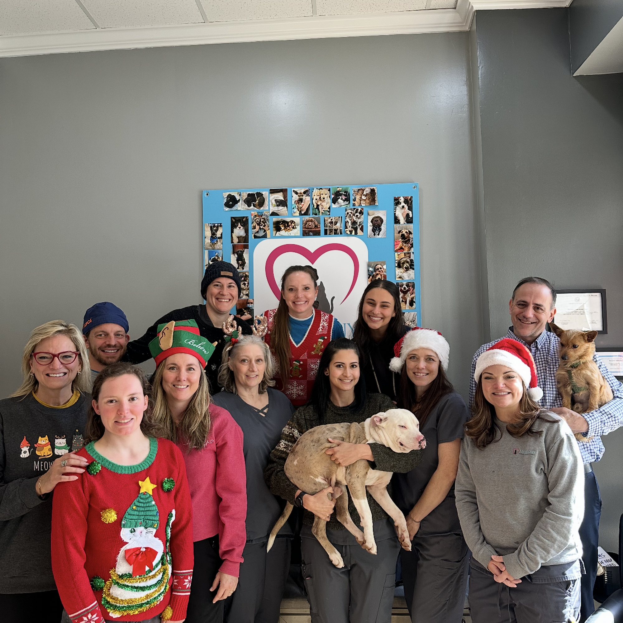 Harmony Animal Rescue Clinic