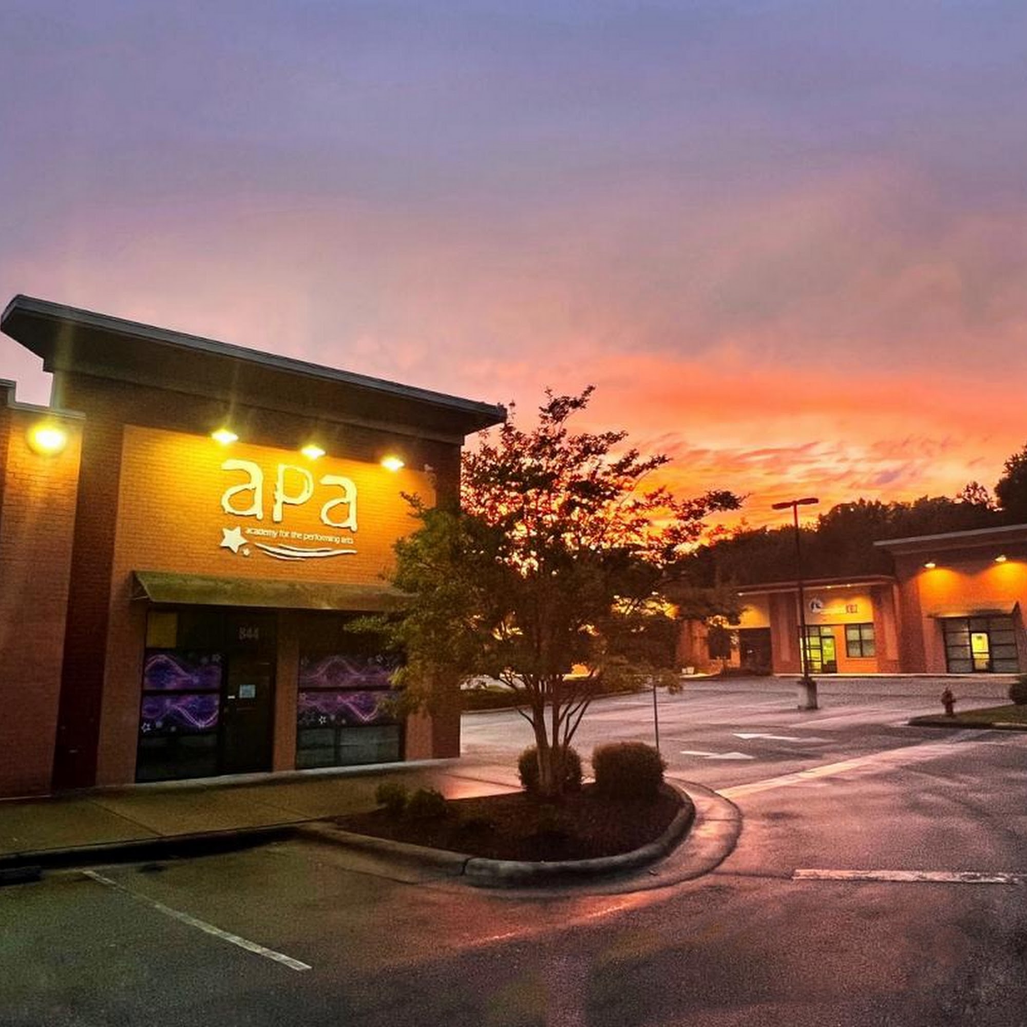 Academy for the Performing Arts 844 Perry Rd, Apex North Carolina 27502