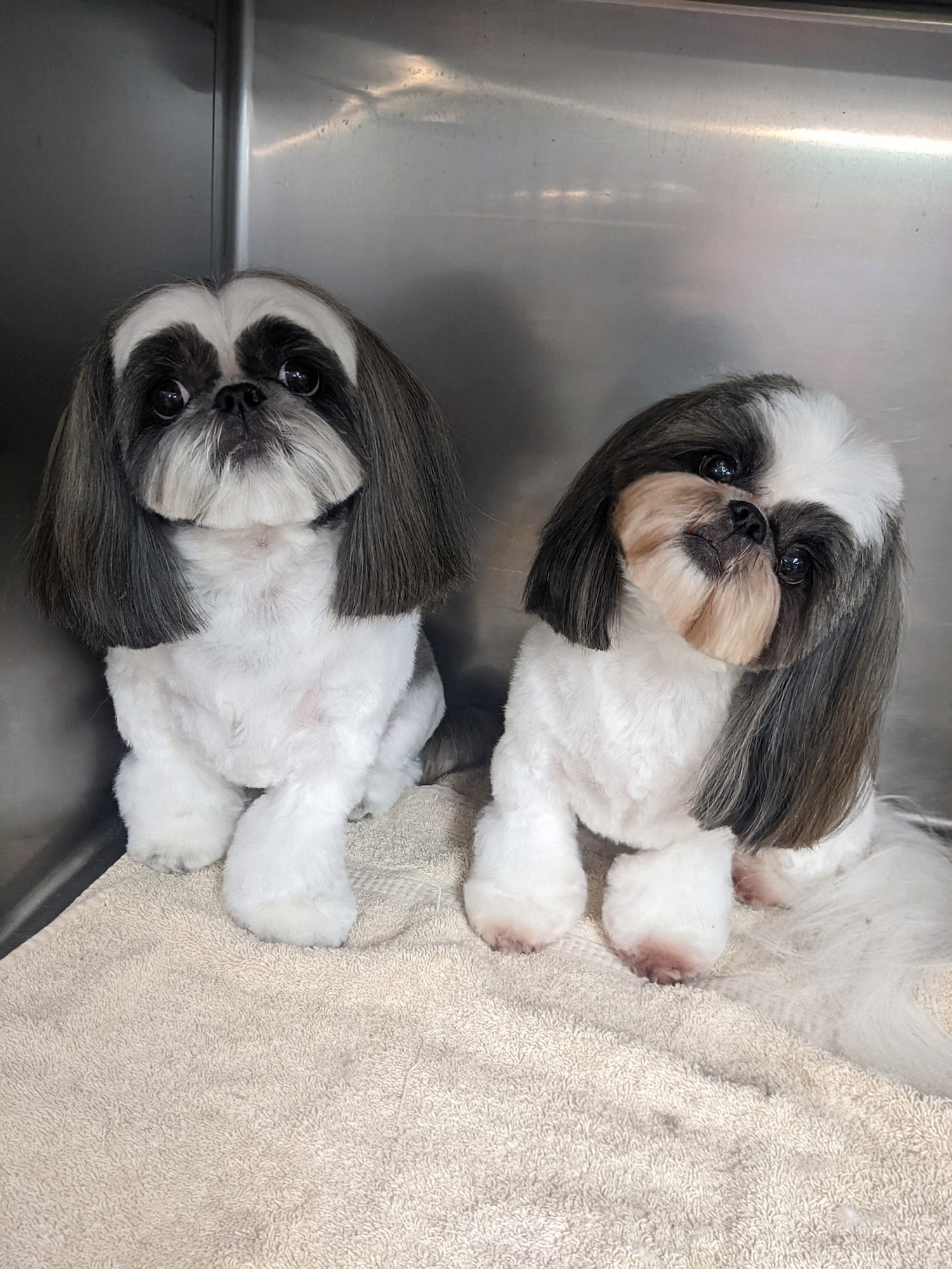 Animal House Asheboro