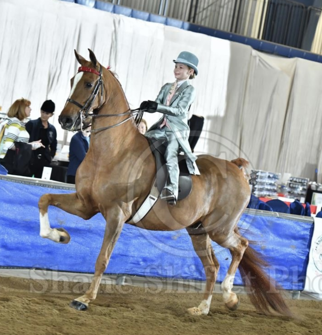 Doug Shiflet Photography