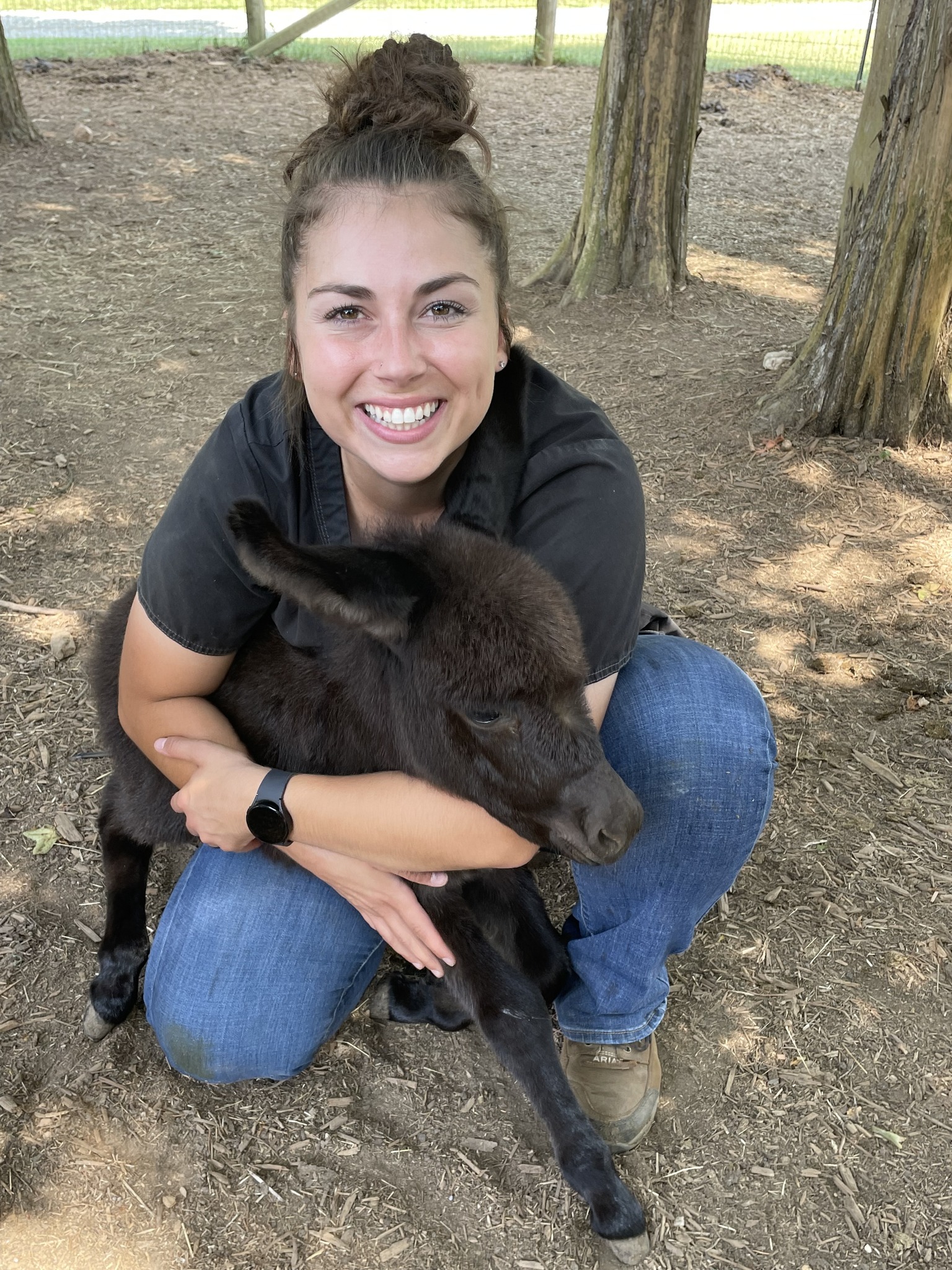 Scarlett Mobile Large Animal Services Asheboro