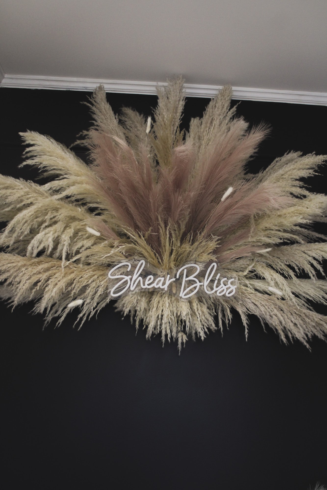 Shear Bliss Hair & Lash Lounge 919 S Cox St, Asheboro North Carolina 27203