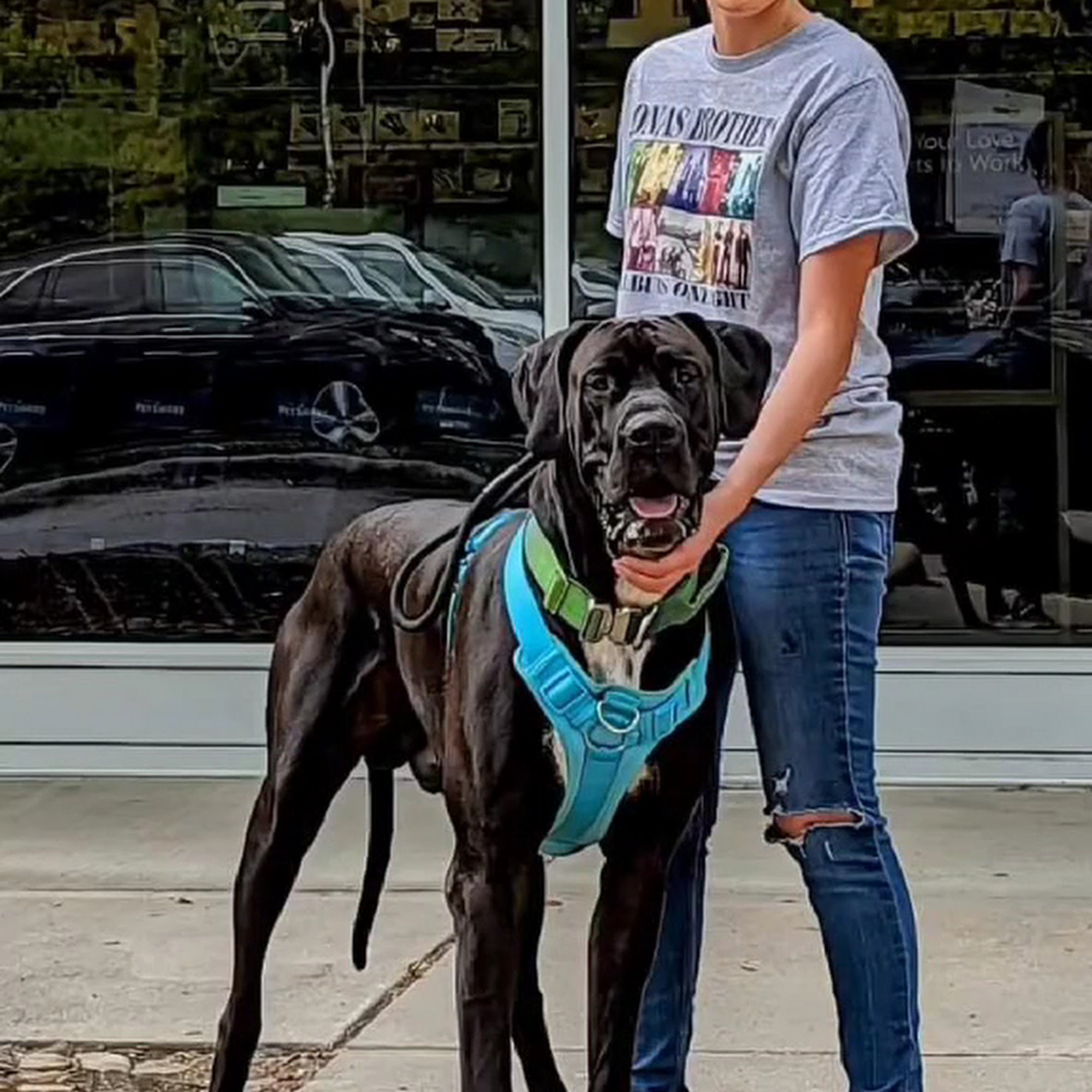 South Asheville Veterinary Emergency & Specialty Asheville