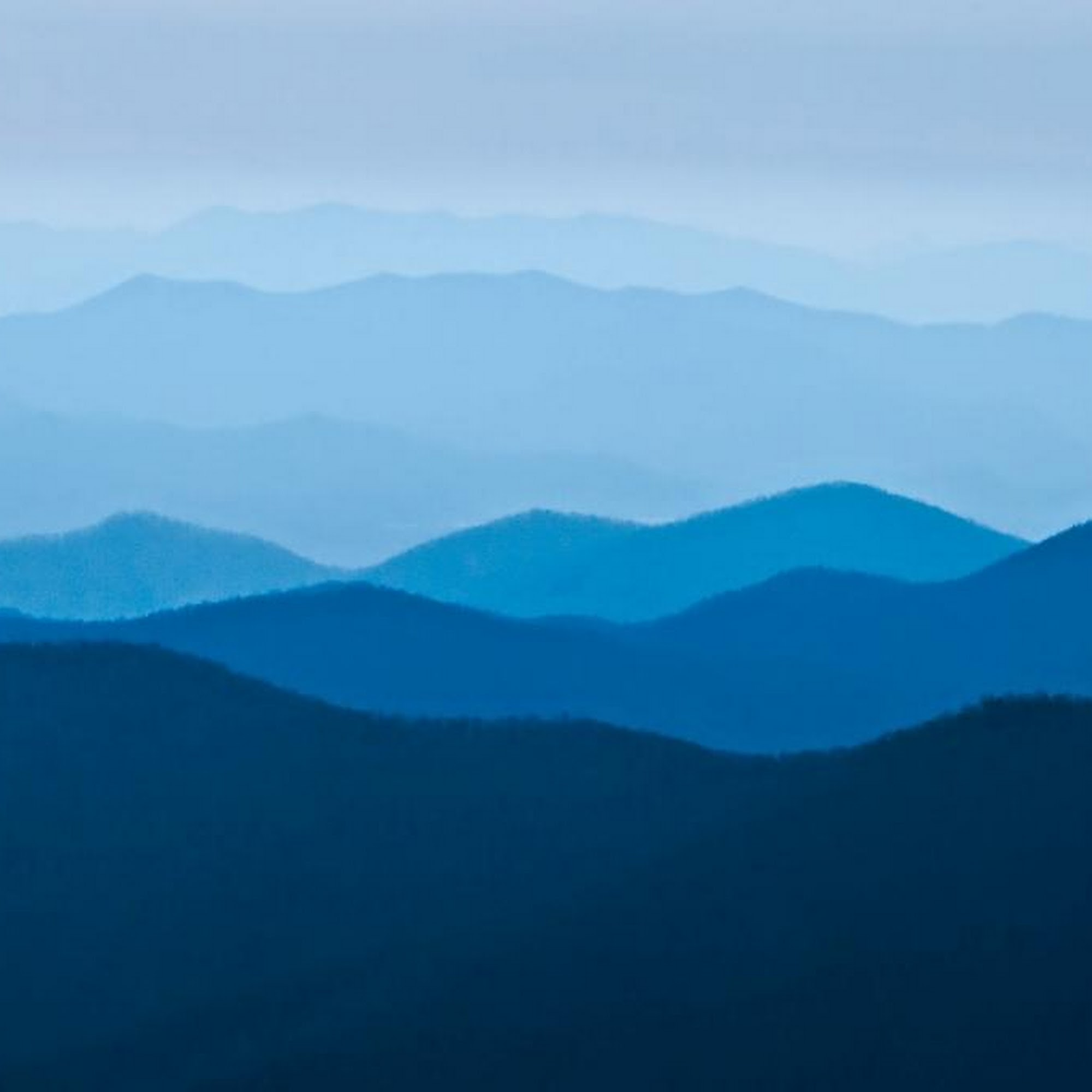 Cedar Ridge Animal Hospital Asheville