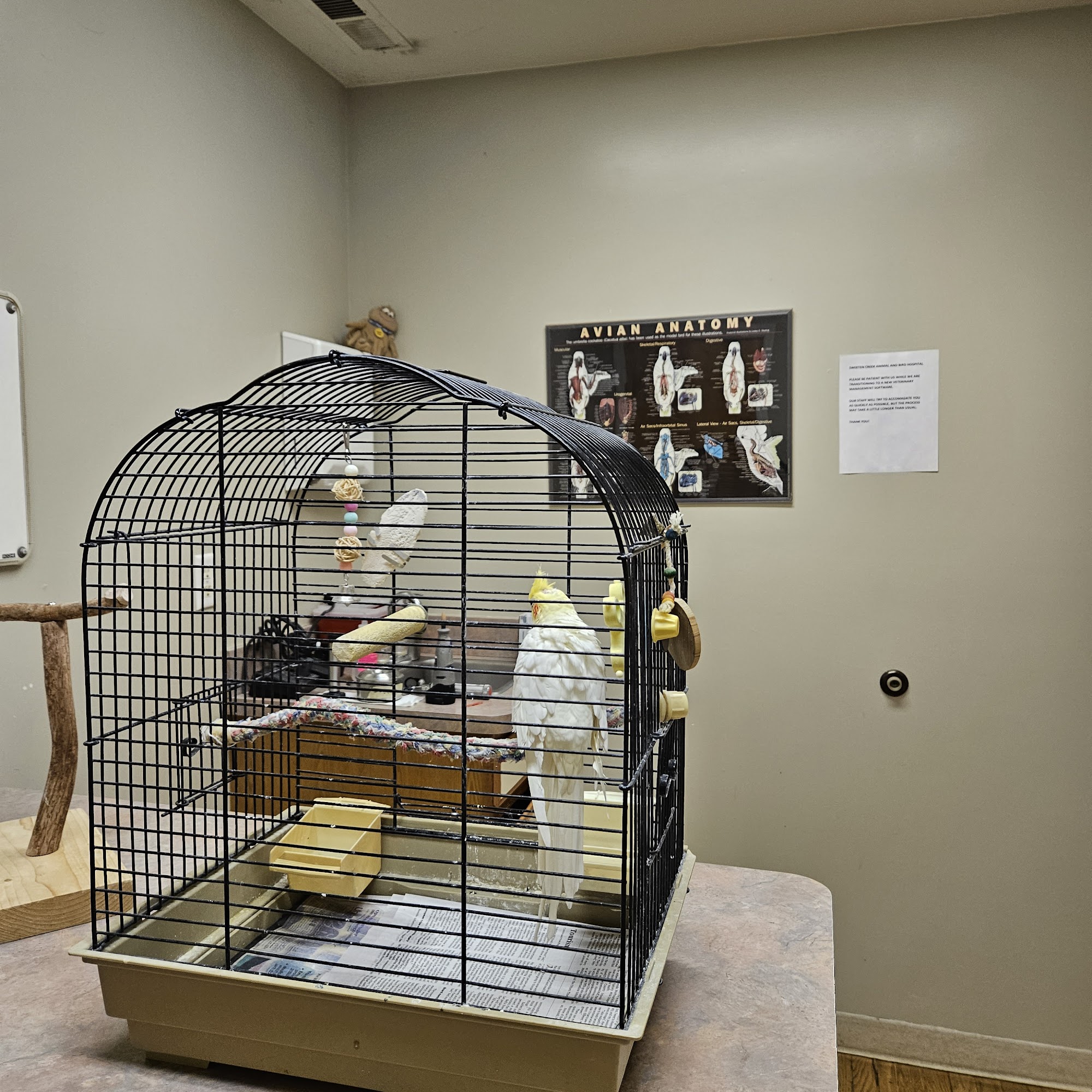 Sweeten Creek Animal and Bird Hospital Asheville