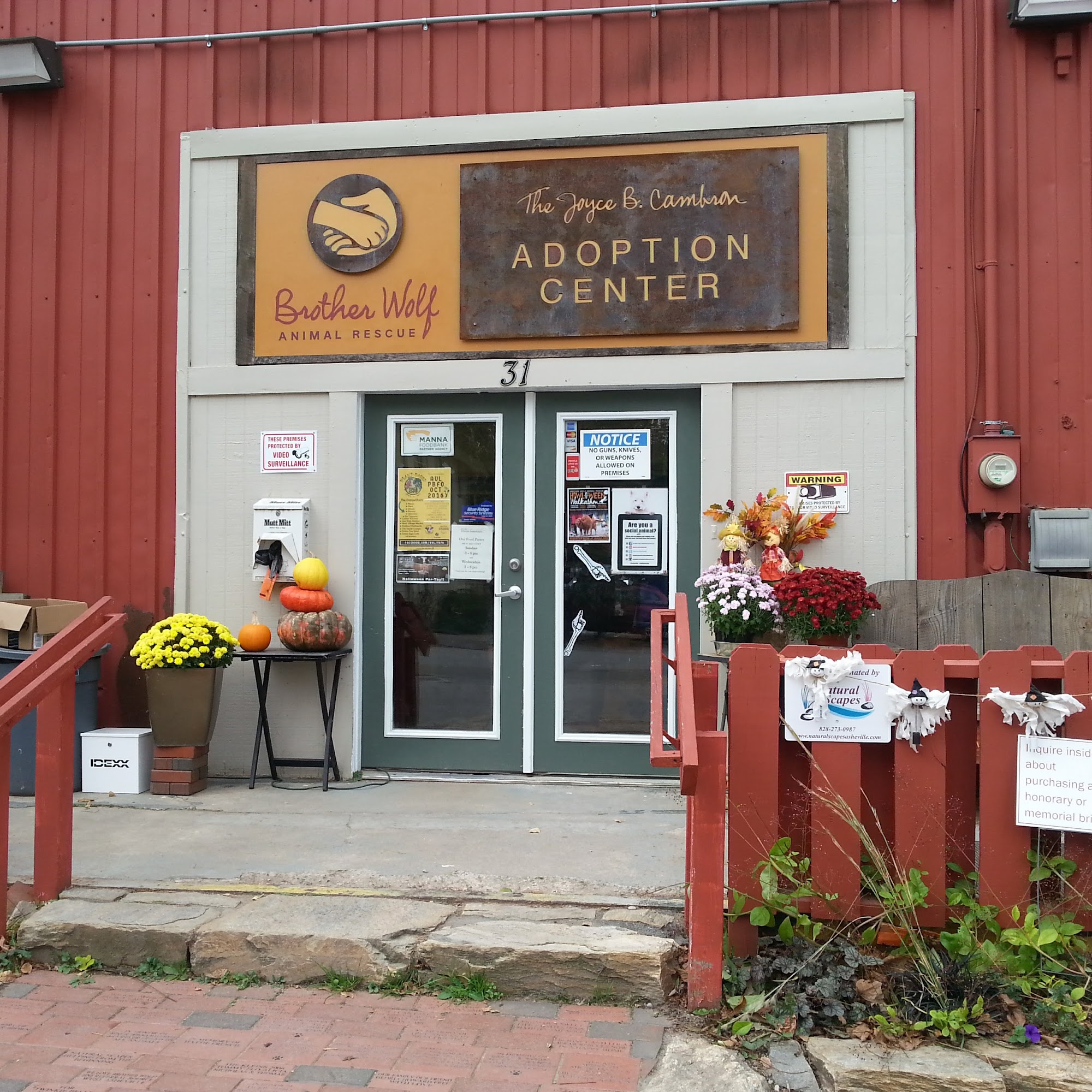 Brother Wolf Animal Rescue Asheville