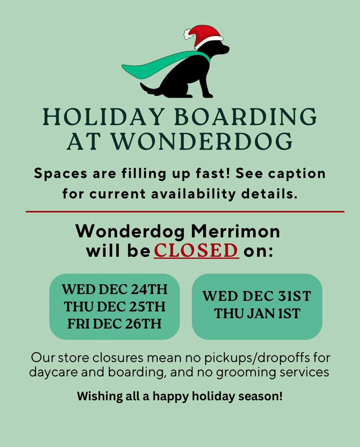 Wonderdog Merrimon Asheville