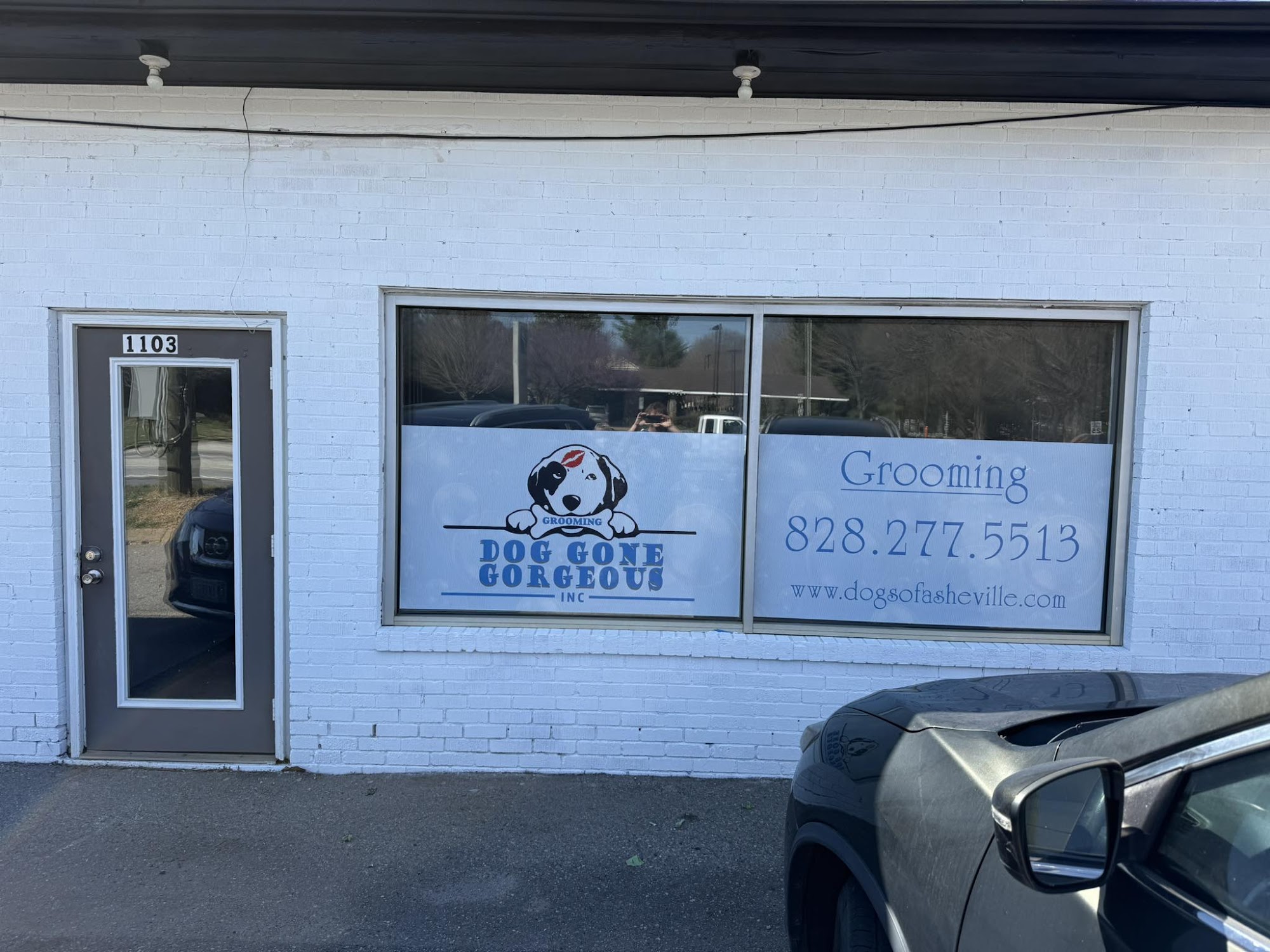 Dog Gone Gorgeous Asheville