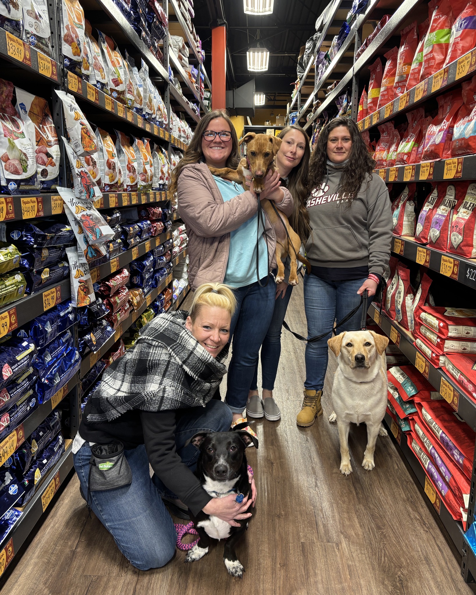 Ruff Life Dog Training Services Asheville