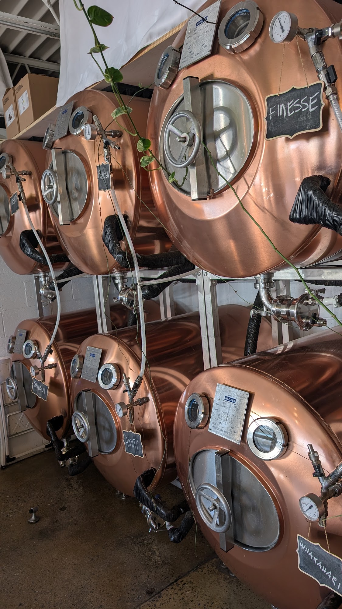 Cellarest Beer Project Menu