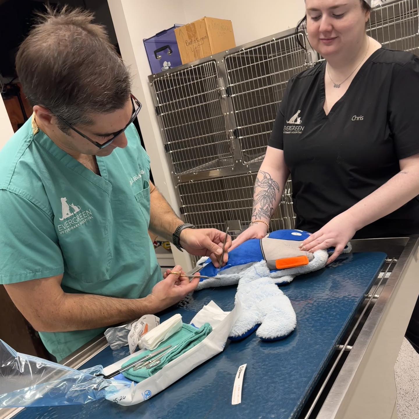Evergreen Veterinary Hospital Asheville