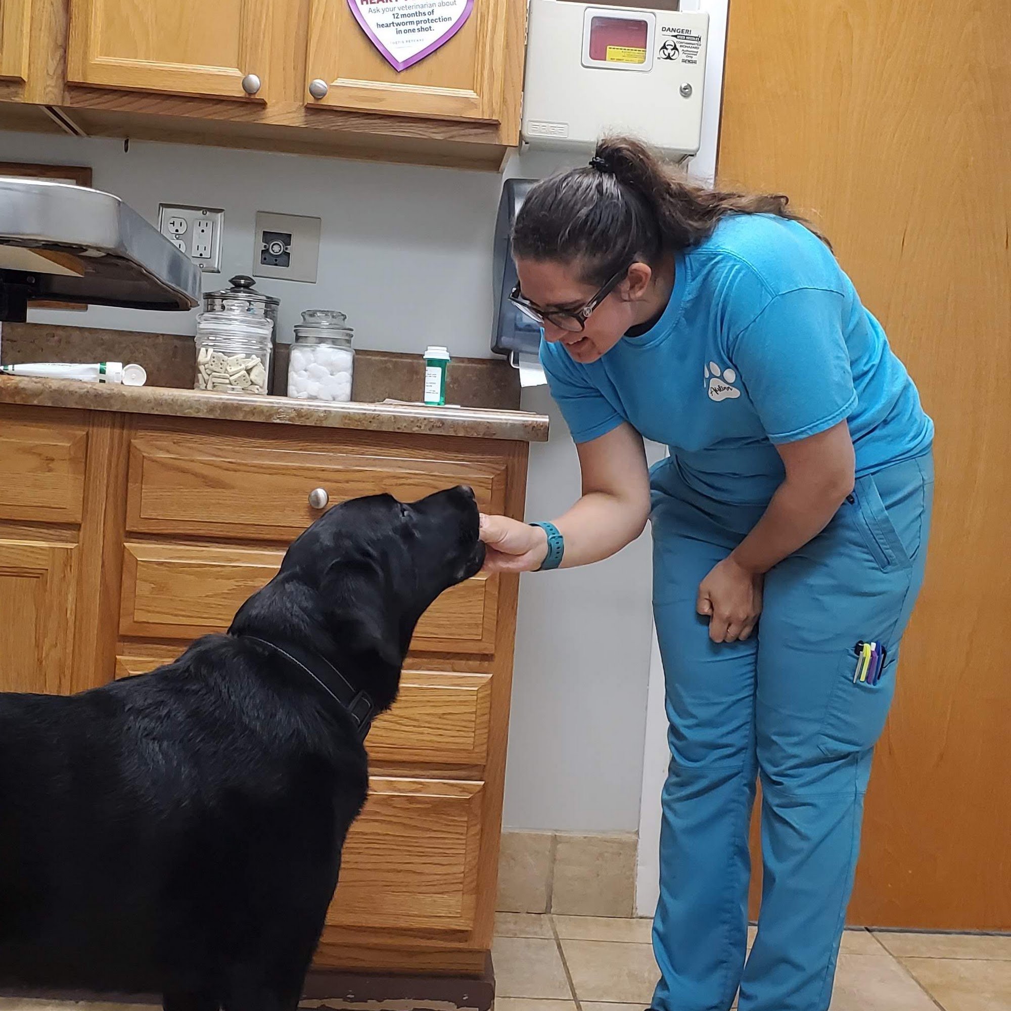 Bahama Road Veterinary Hospital: Konvalinka Chris DVM Bahama