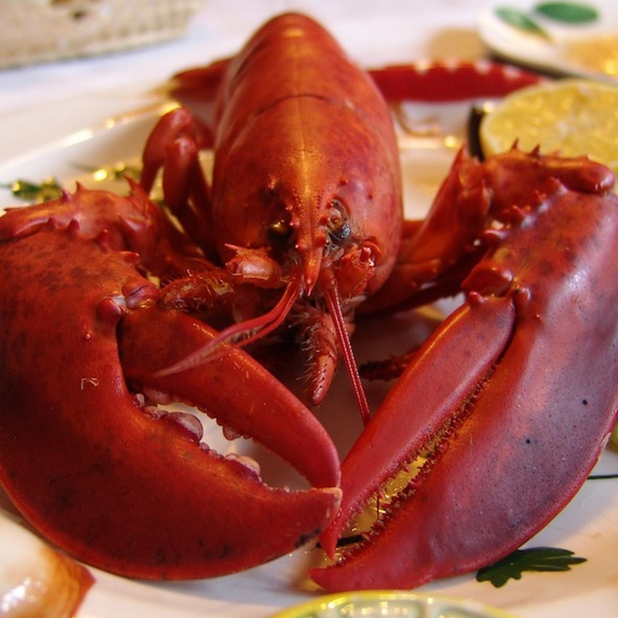 The Village of Banner Elk Banner Elk