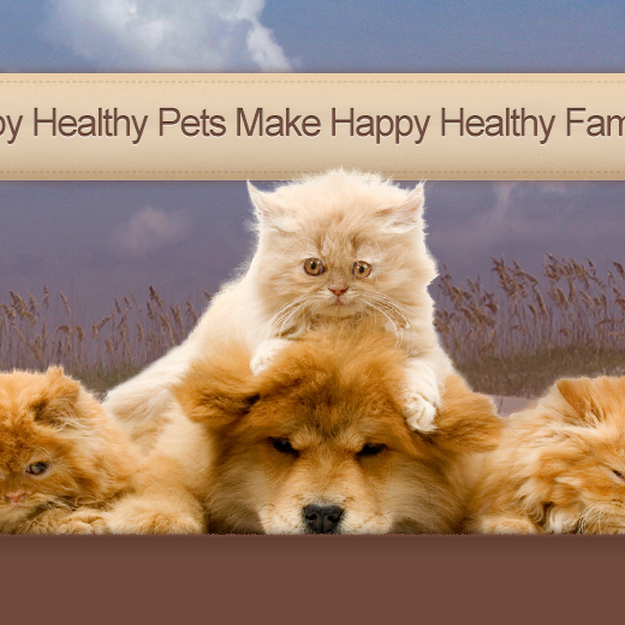 Live Oak Veterinary Hospital Beaufort