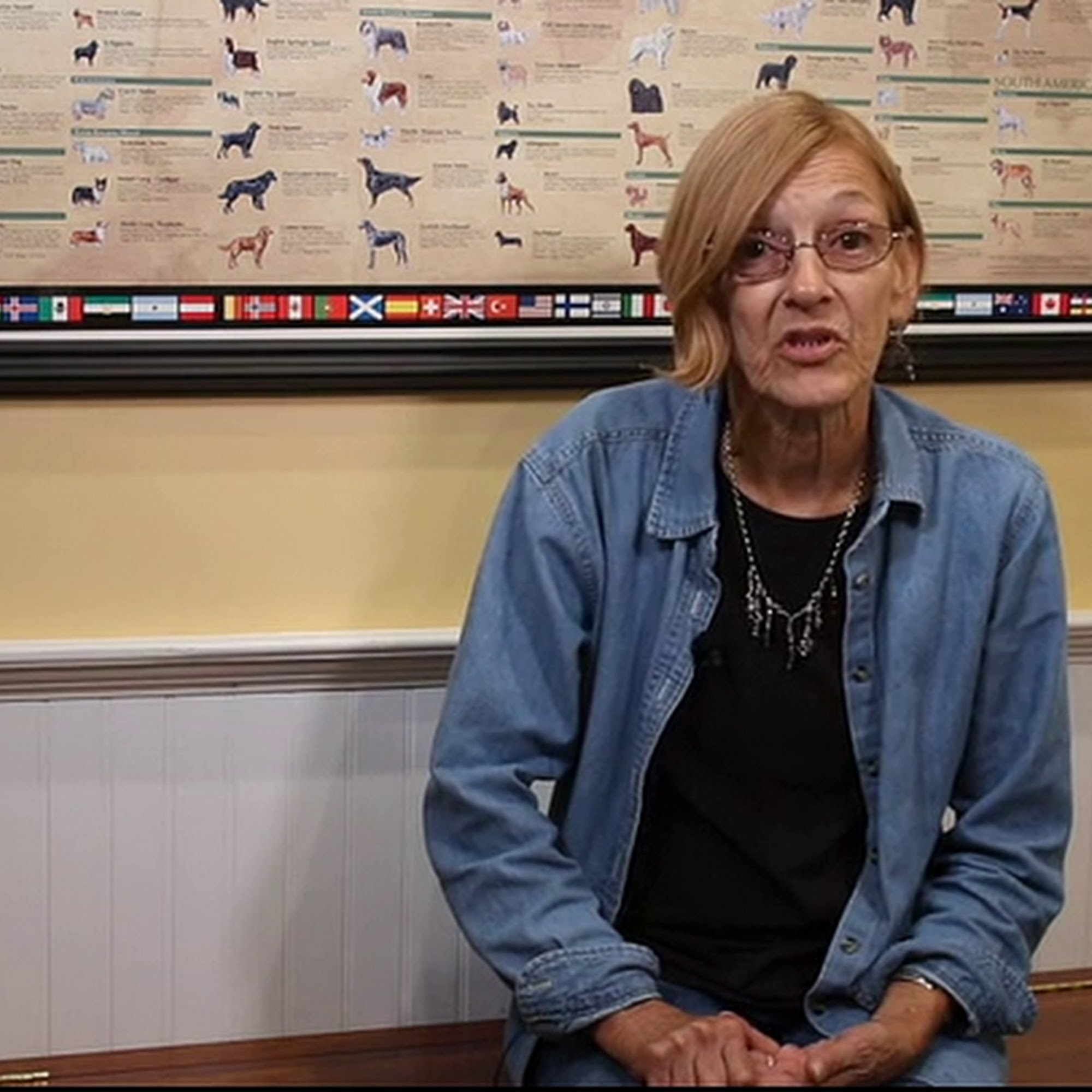 Austin Veterinary Animal Hospital Beaufort