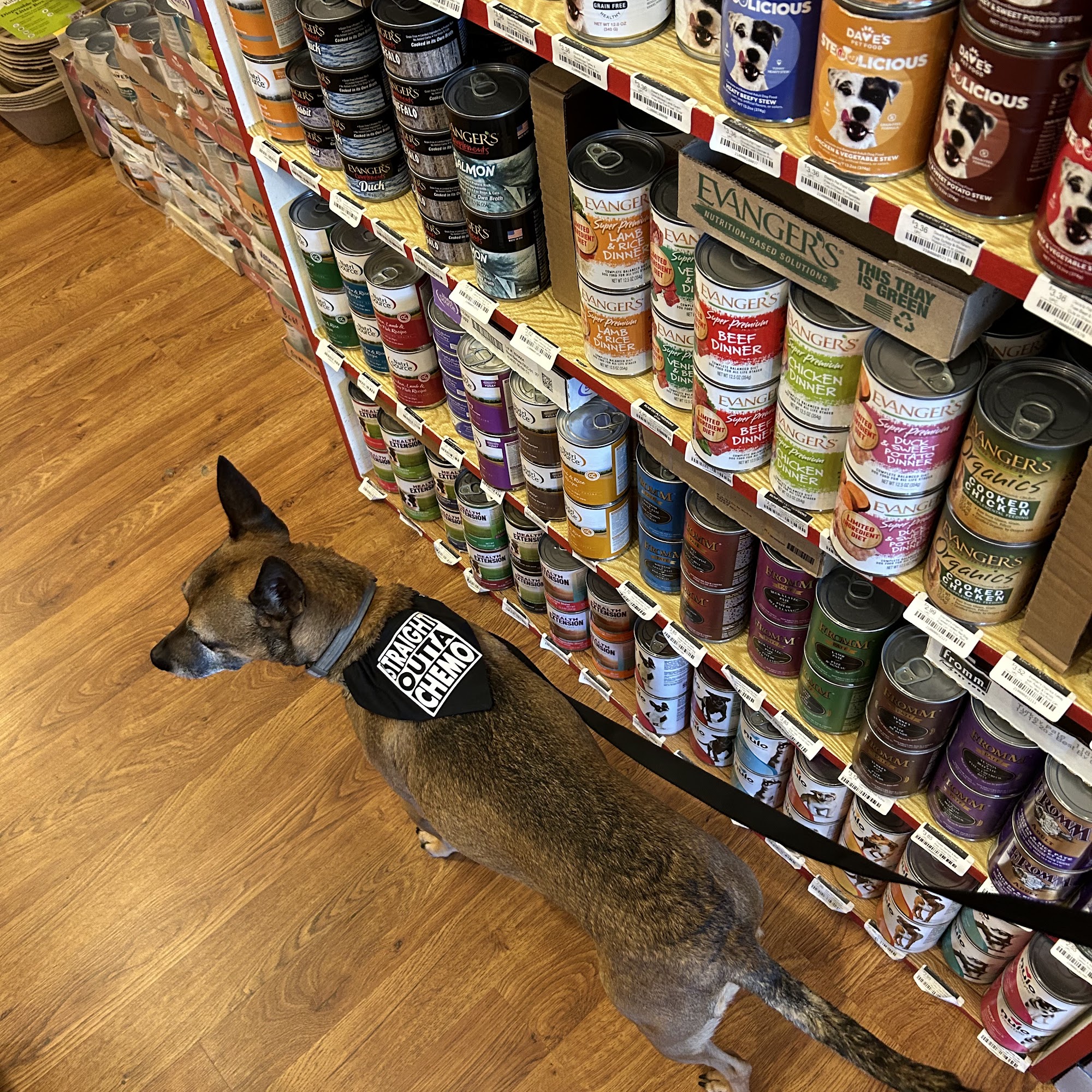 Beaufort Pet Provisions, Inc Beaufort