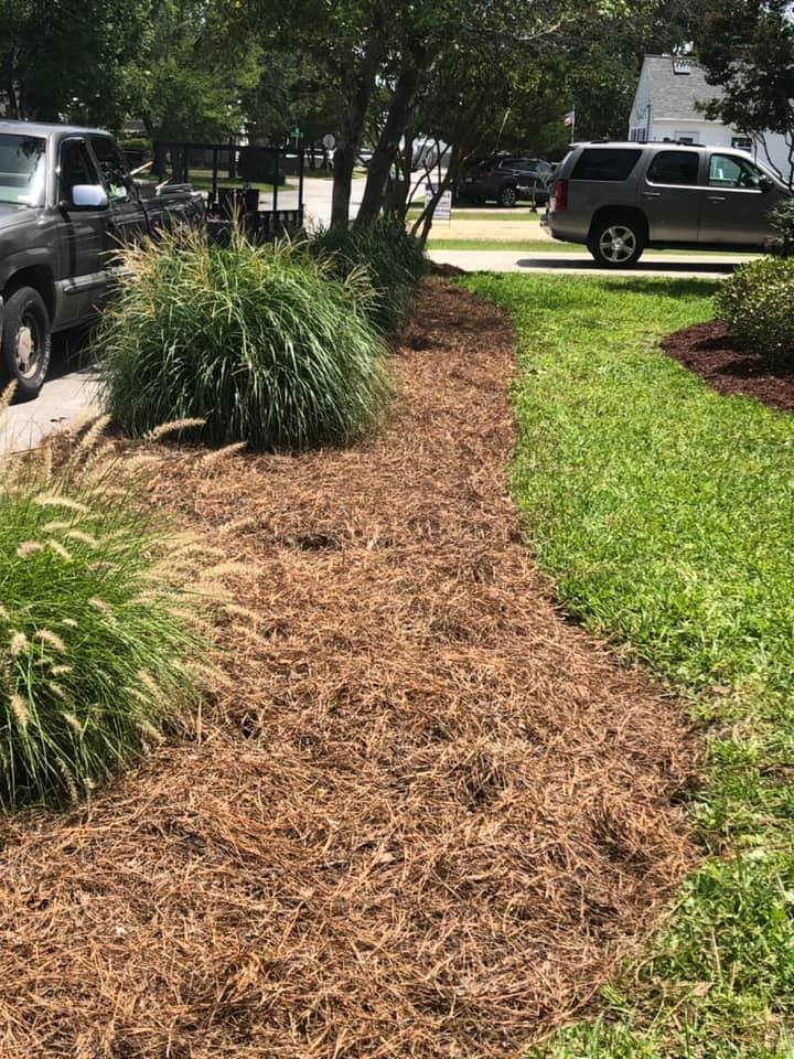 Seascapes Lawn Maintenance