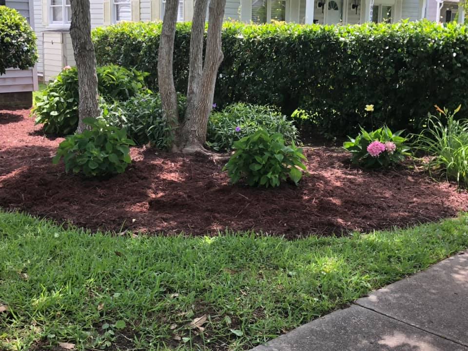 Seascapes Lawn Maintenance