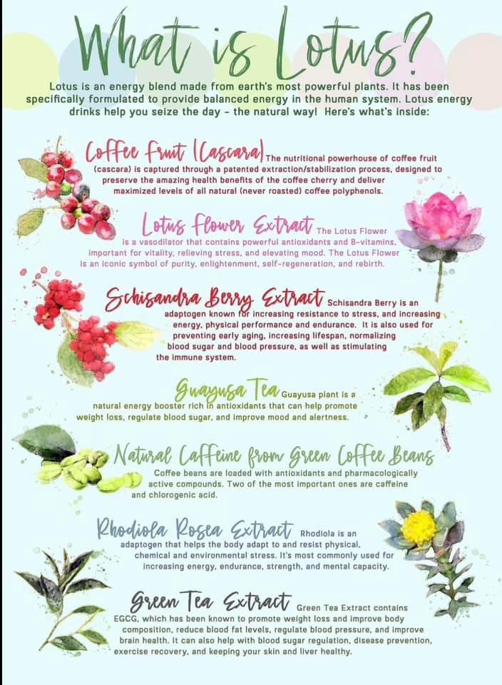 Dancing Baristas Café Menu