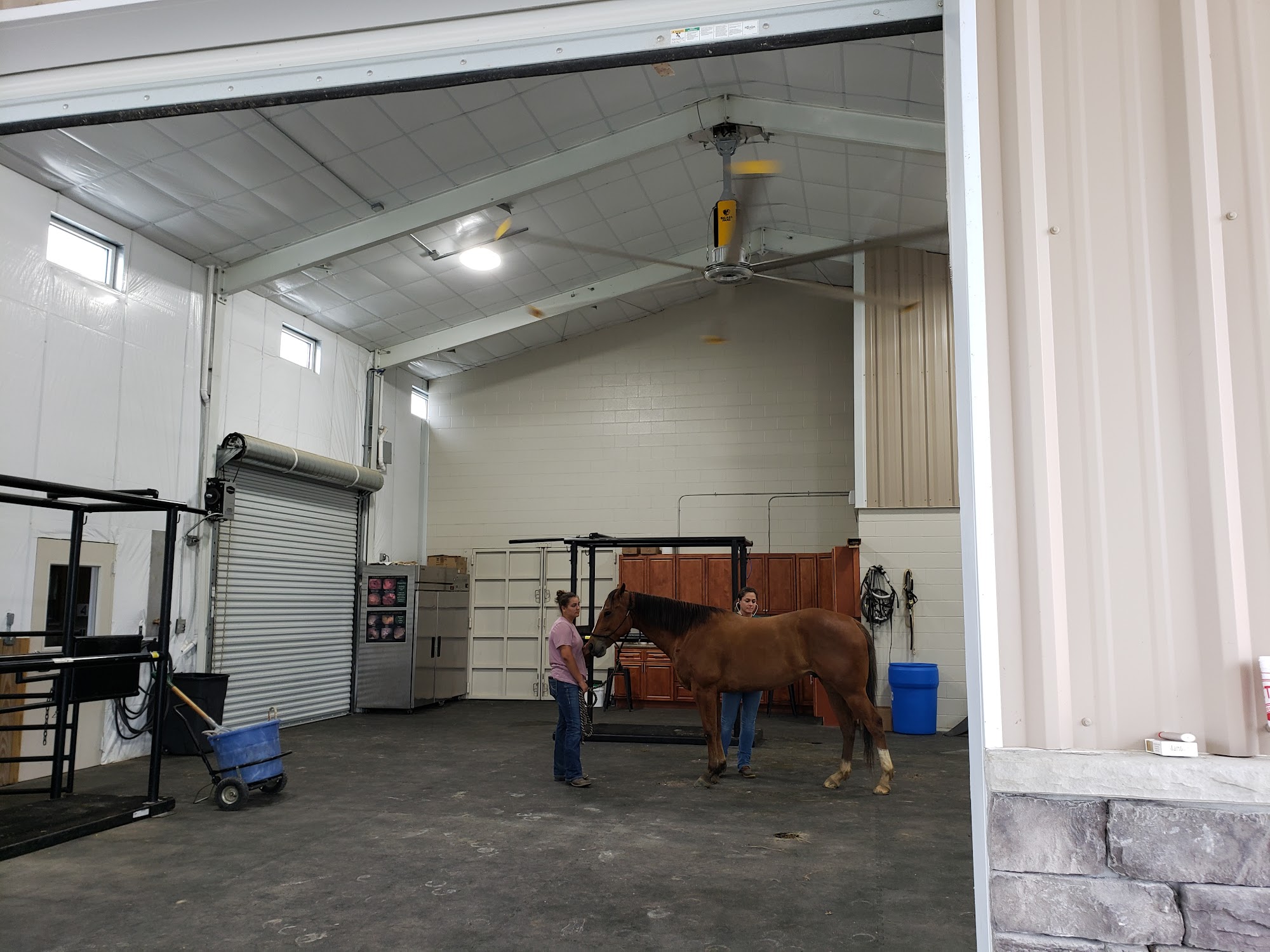 Hannah Creek Veterinary Hospital Benson