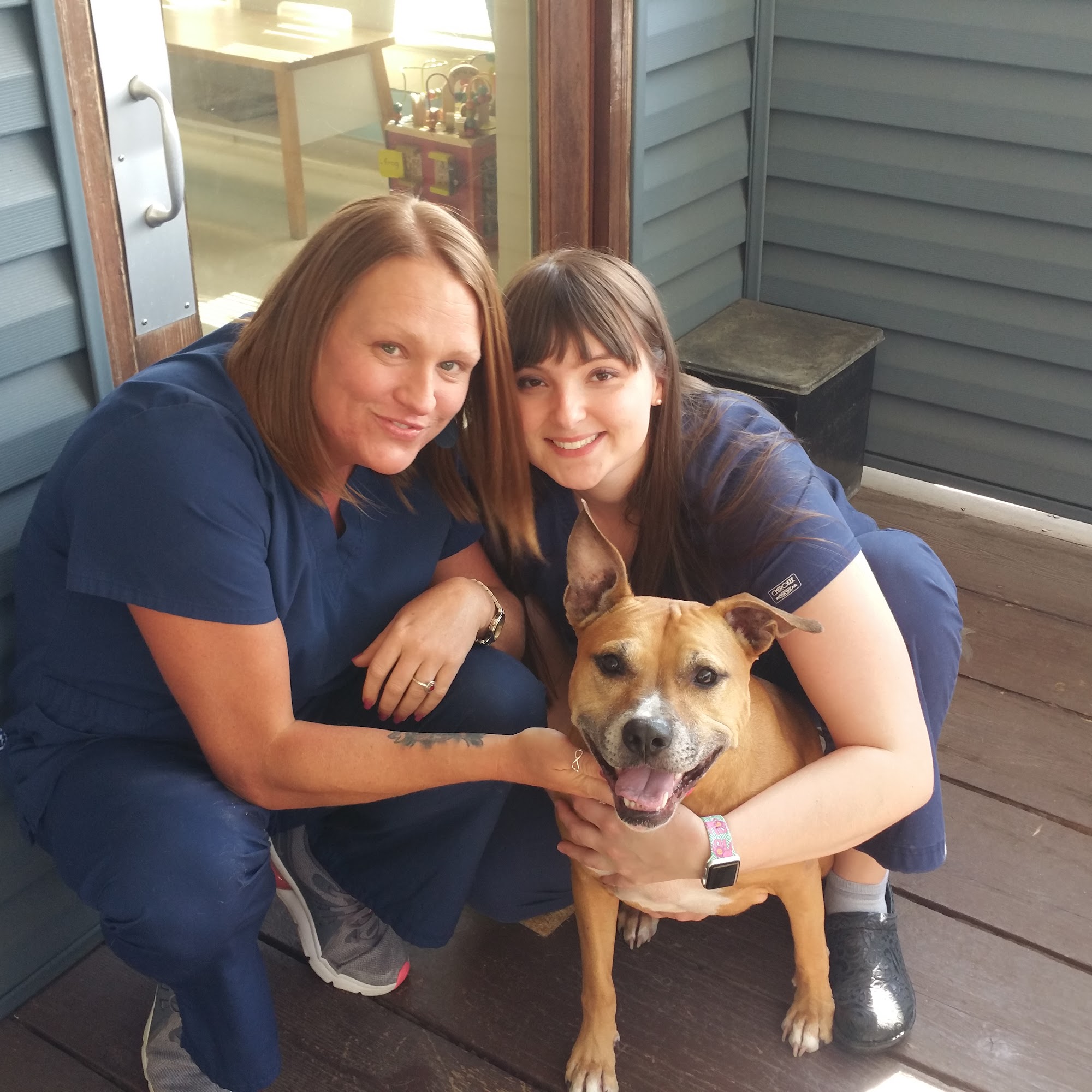 Blue Ridge Animal Hospital Inc: Wagener, Al V.M.D. Black Mountain