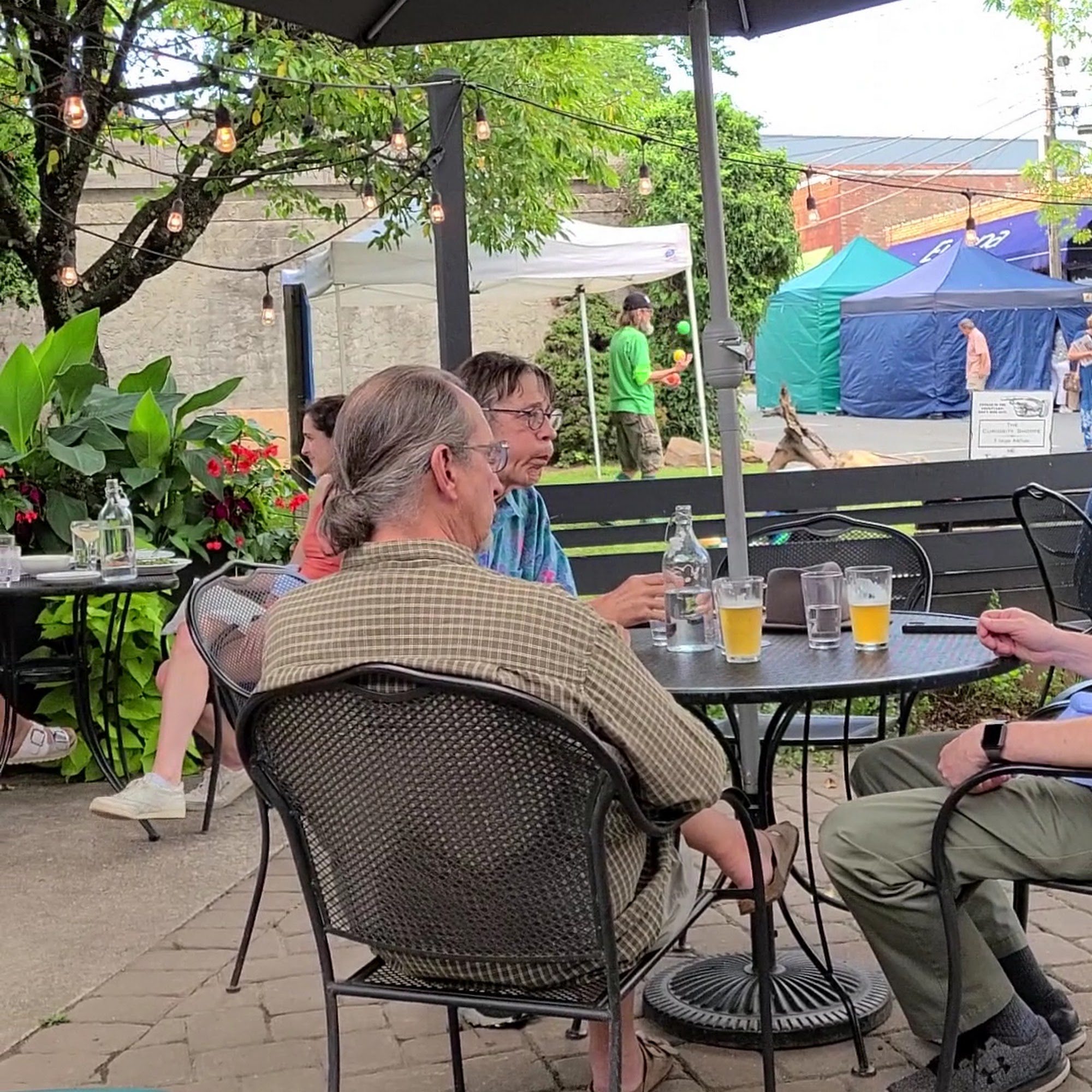 Goldfinch Black Mountain Black Mountain