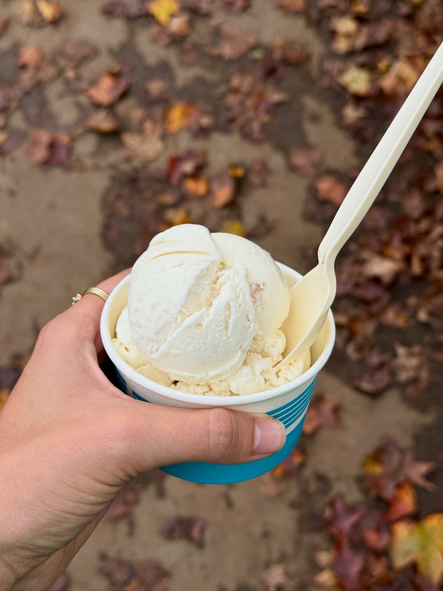 Blue Deer on Main Blowing Rock