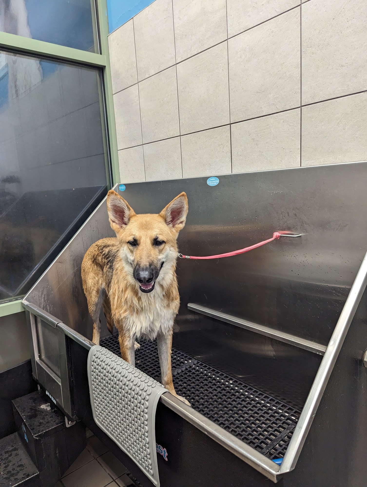 Pet Supplies Plus Bolivia Bolivia