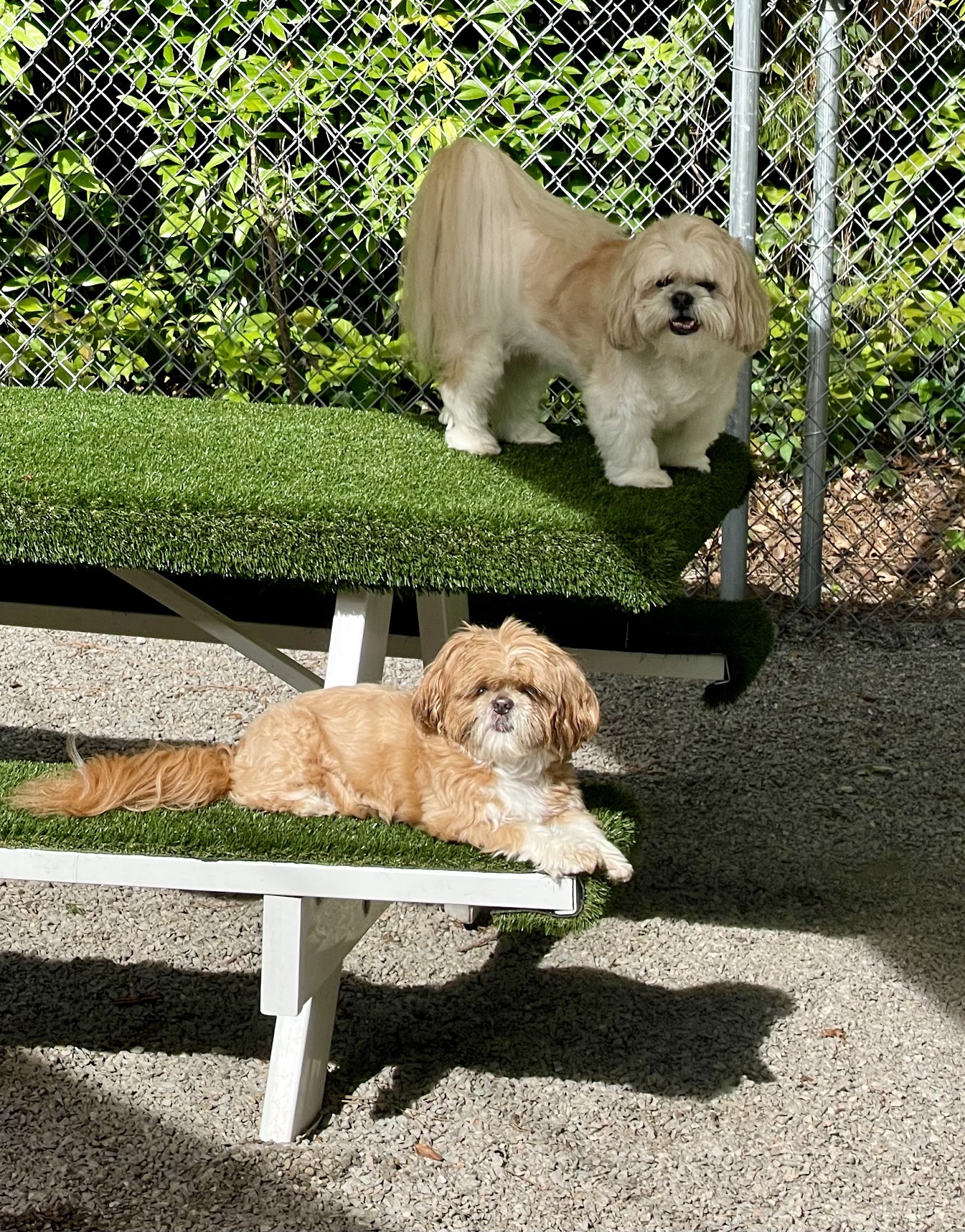 Adams Folly Bed & Biscuit Bolivia