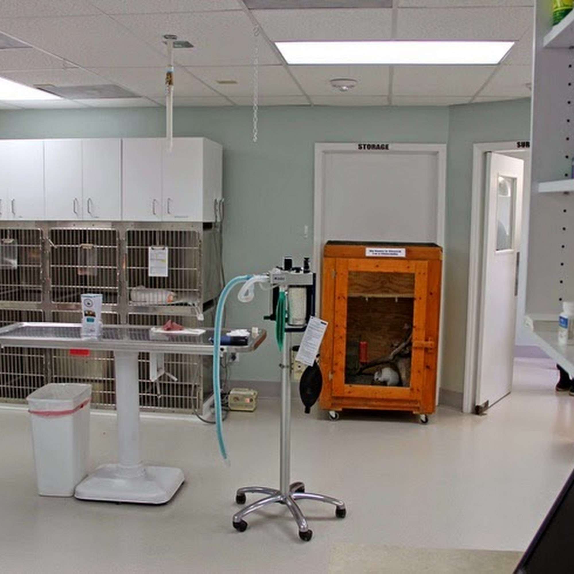 Appalachian New River Veterinary Associates Boone