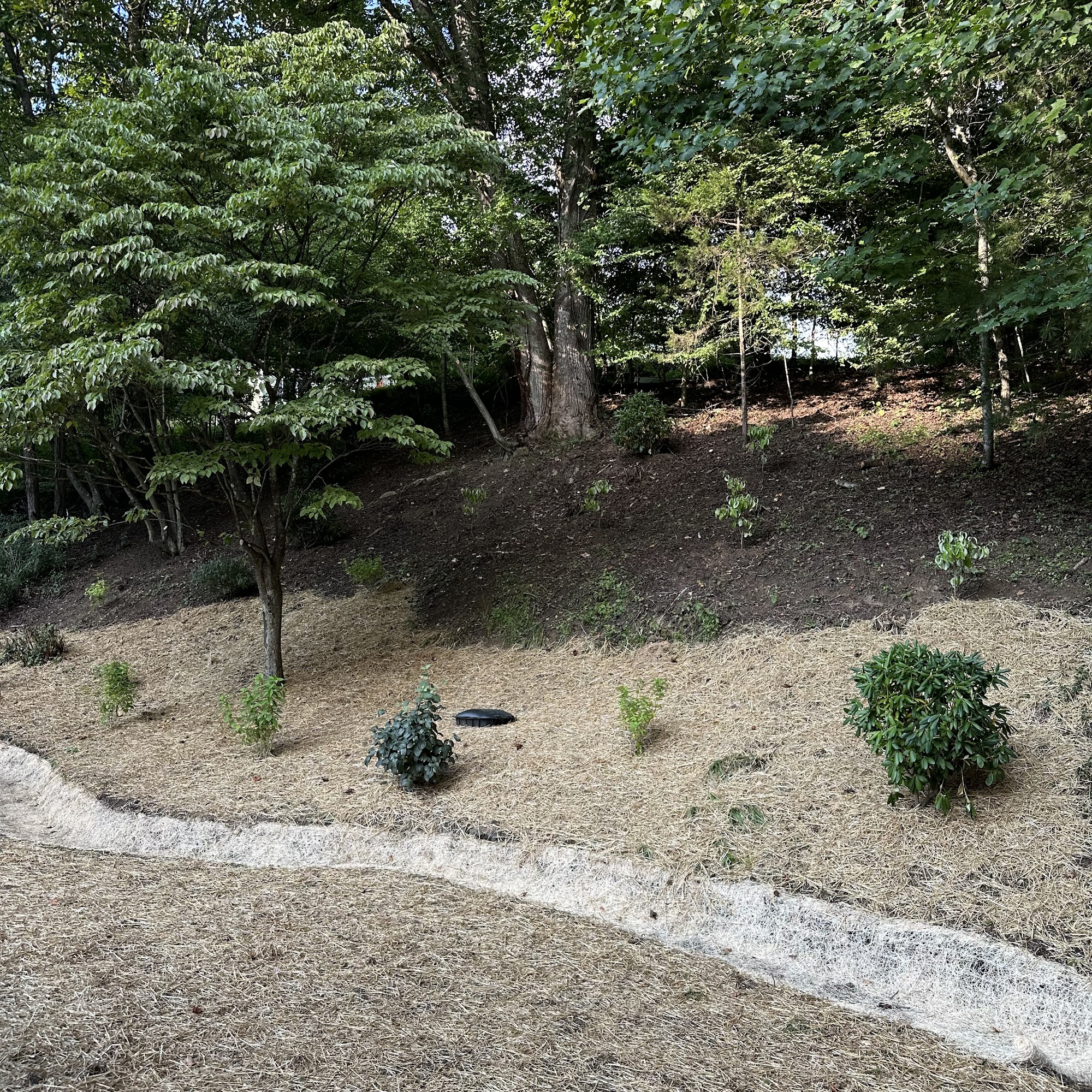 A Cut Above Lawn Care and Landscaping