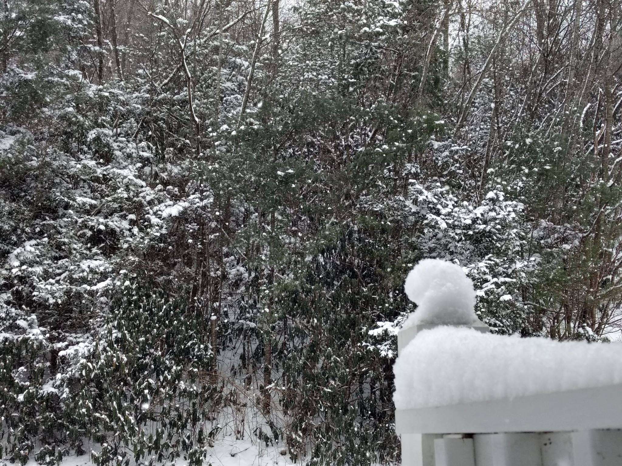 Blue Mountain Center