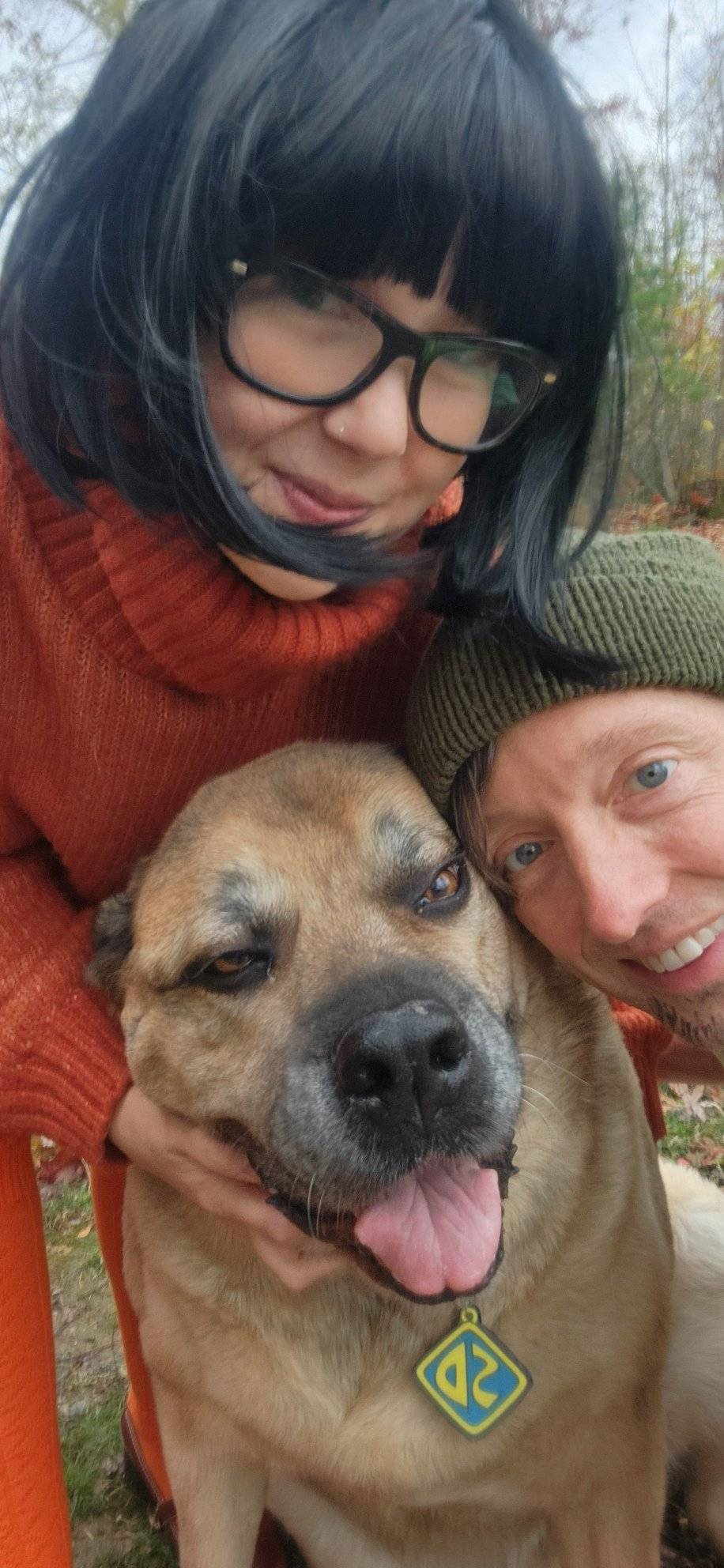 Little Wing Ice Cream Boone