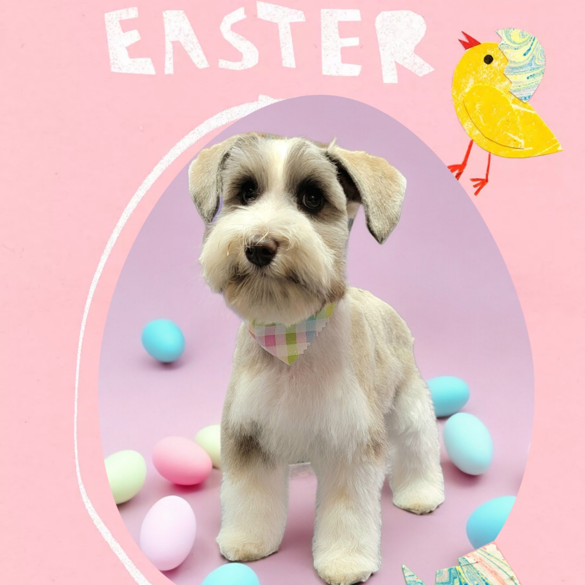 Animal Crackers Pet Spa and Resort Boonville