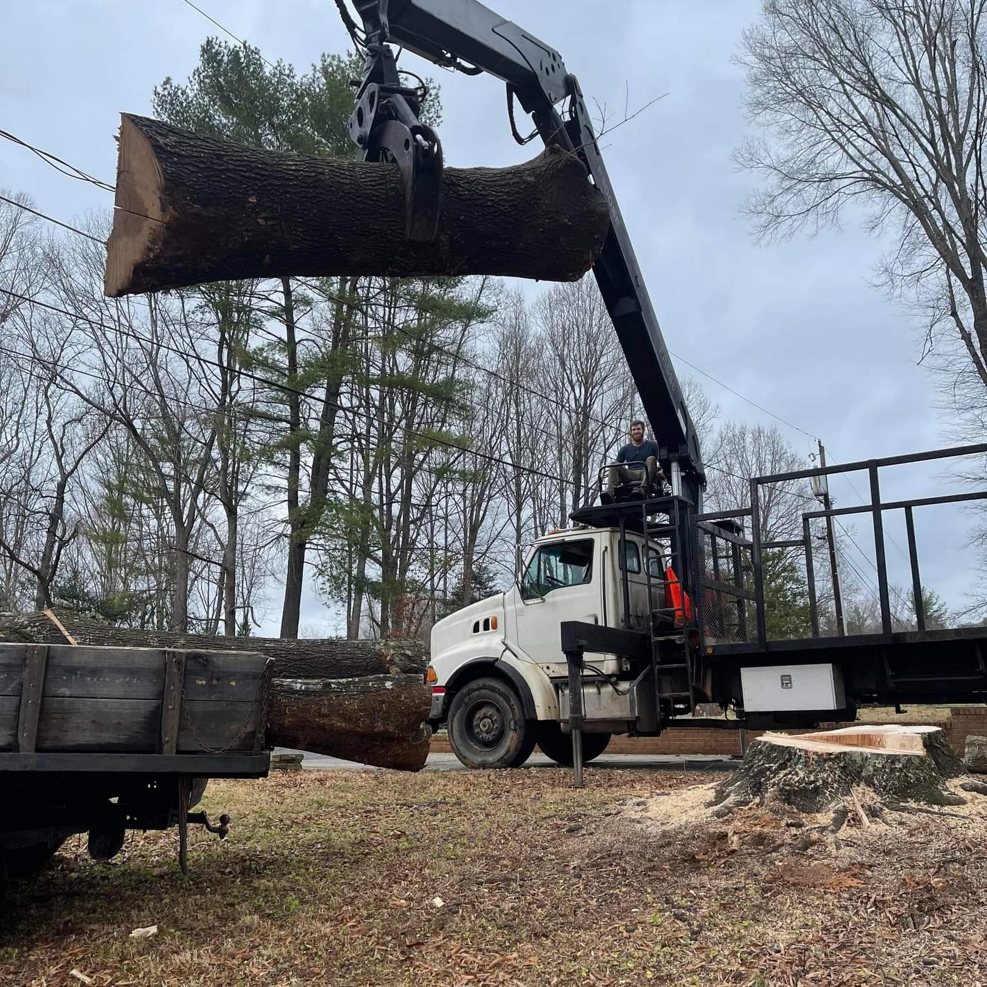 Blue Ridge Tree Care 608 Robinson Creek Rd, Bostic North Carolina 28018