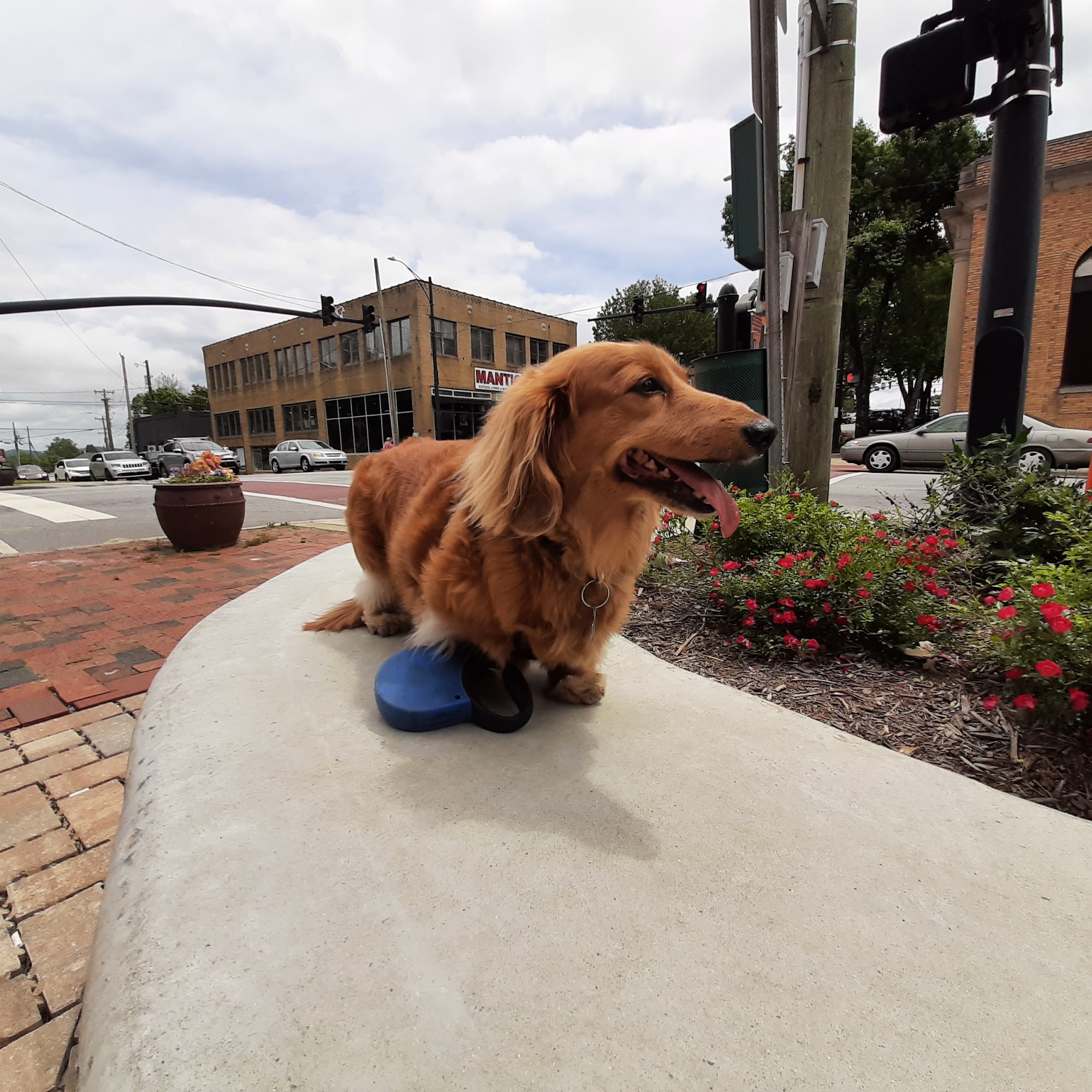 Animals Of Eden Veterinary Hospital PLLC Brevard