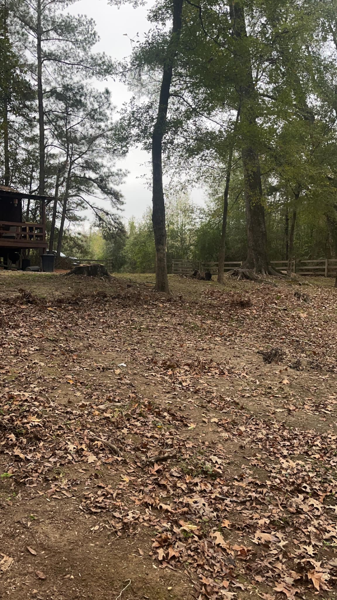 Phillips Lawn Services & Maintenance