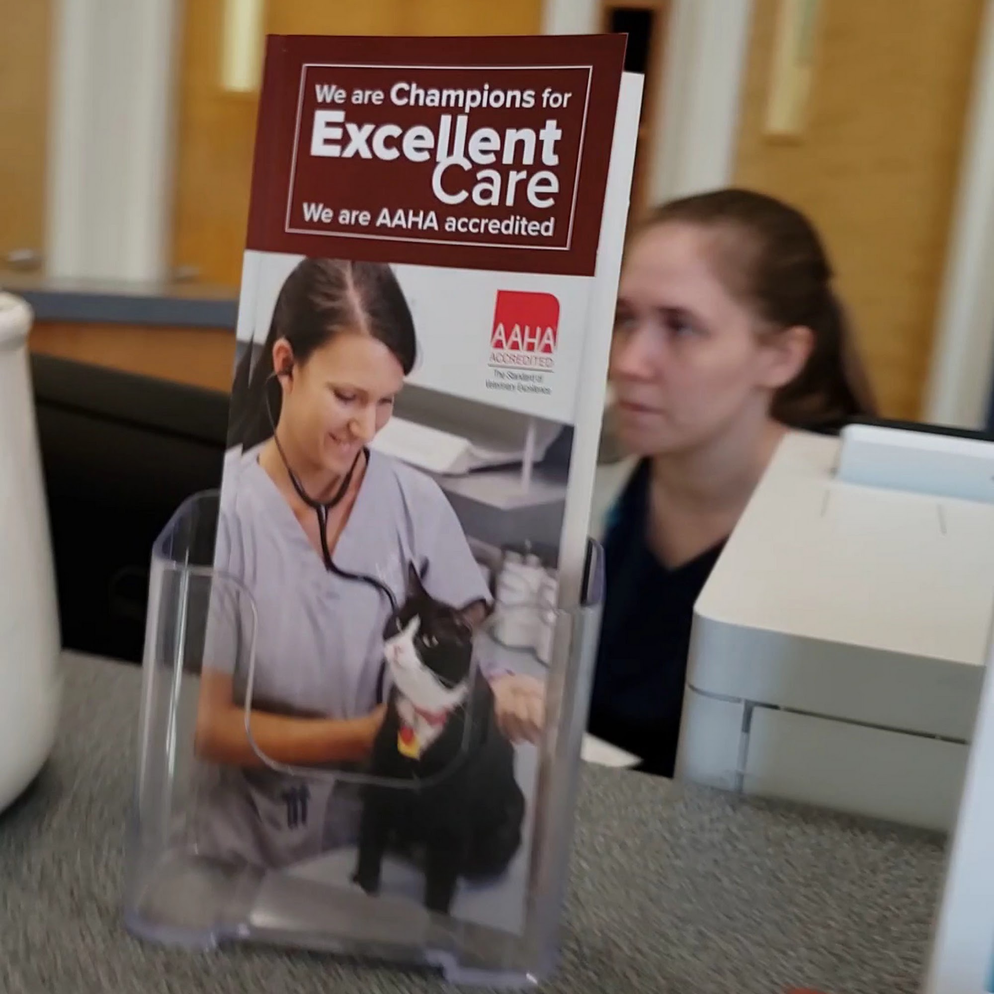 Town N Country Animal Hospital Burlington