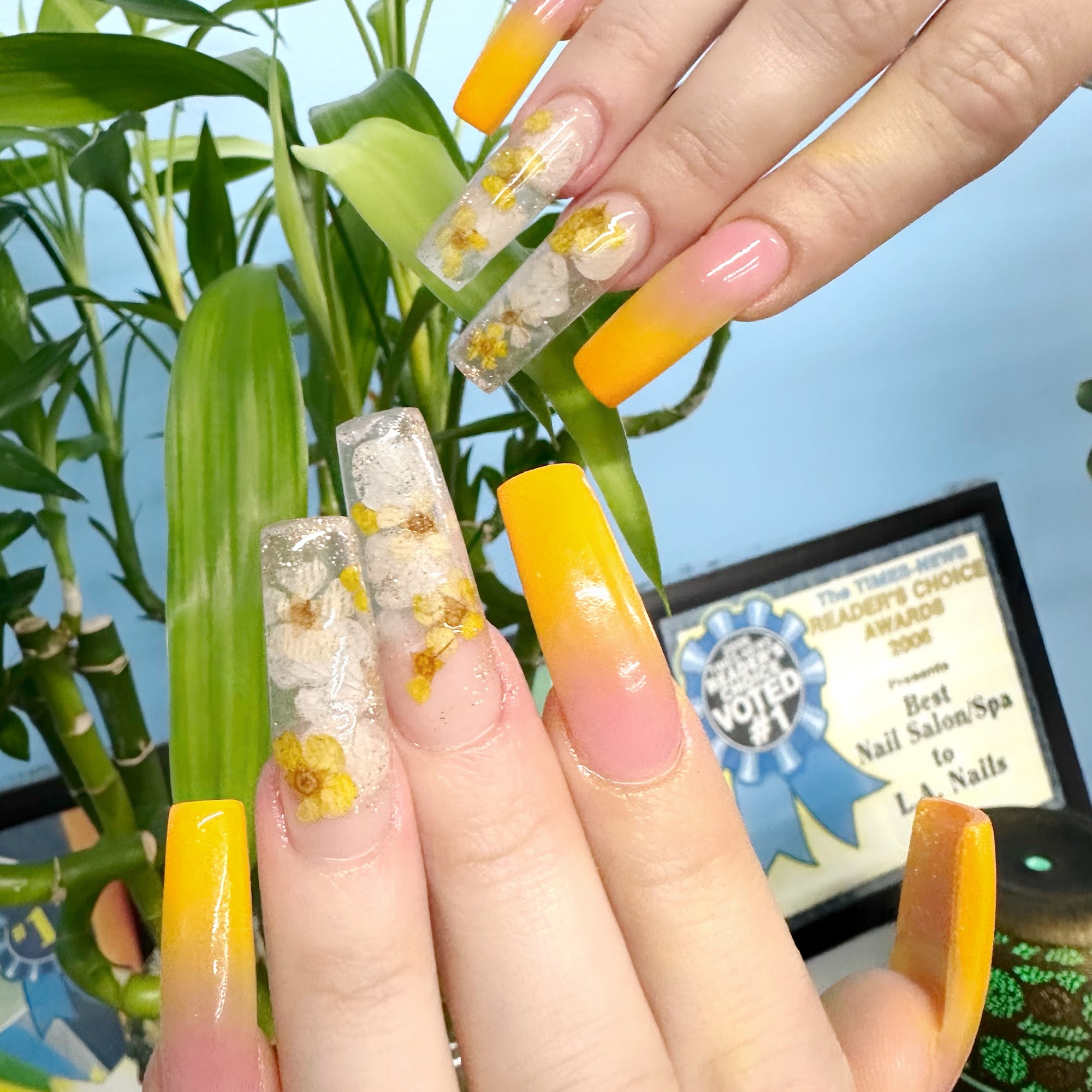 L.A. Nails 2425 Corporation Pkwy, Burlington North Carolina 27215