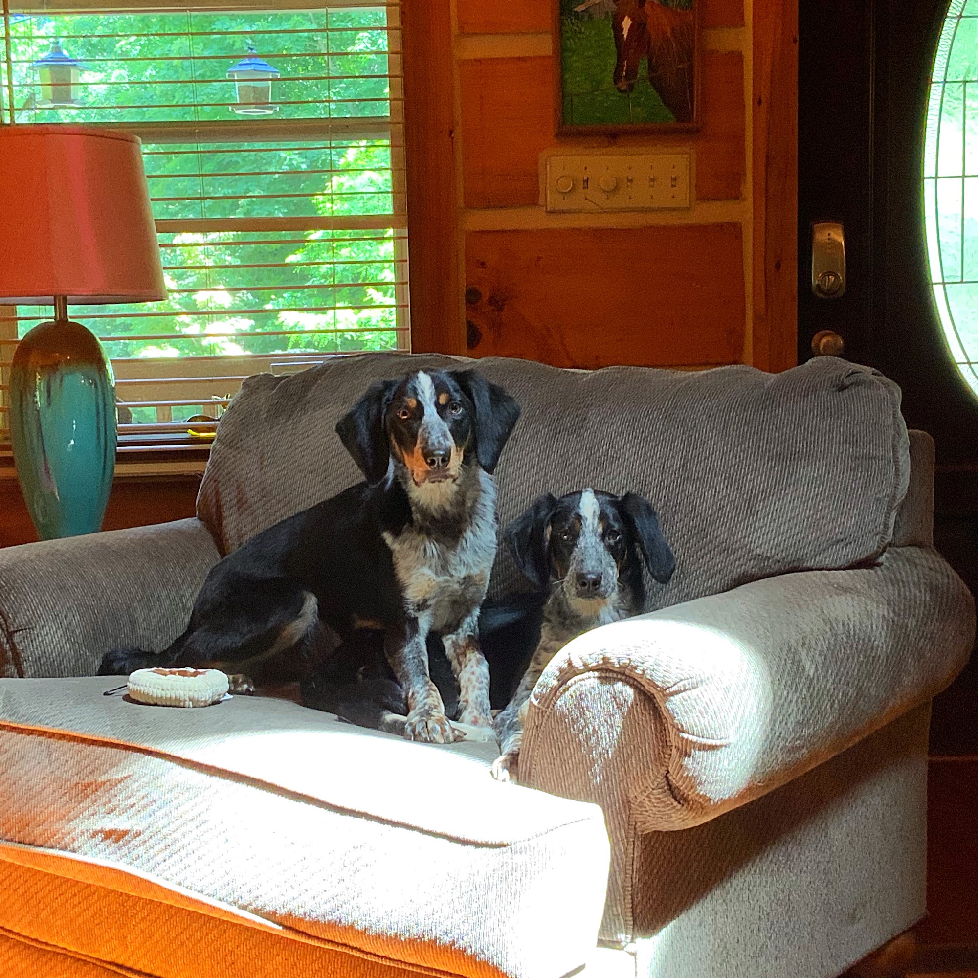 Burnsville Veterinary Clinic Burnsville