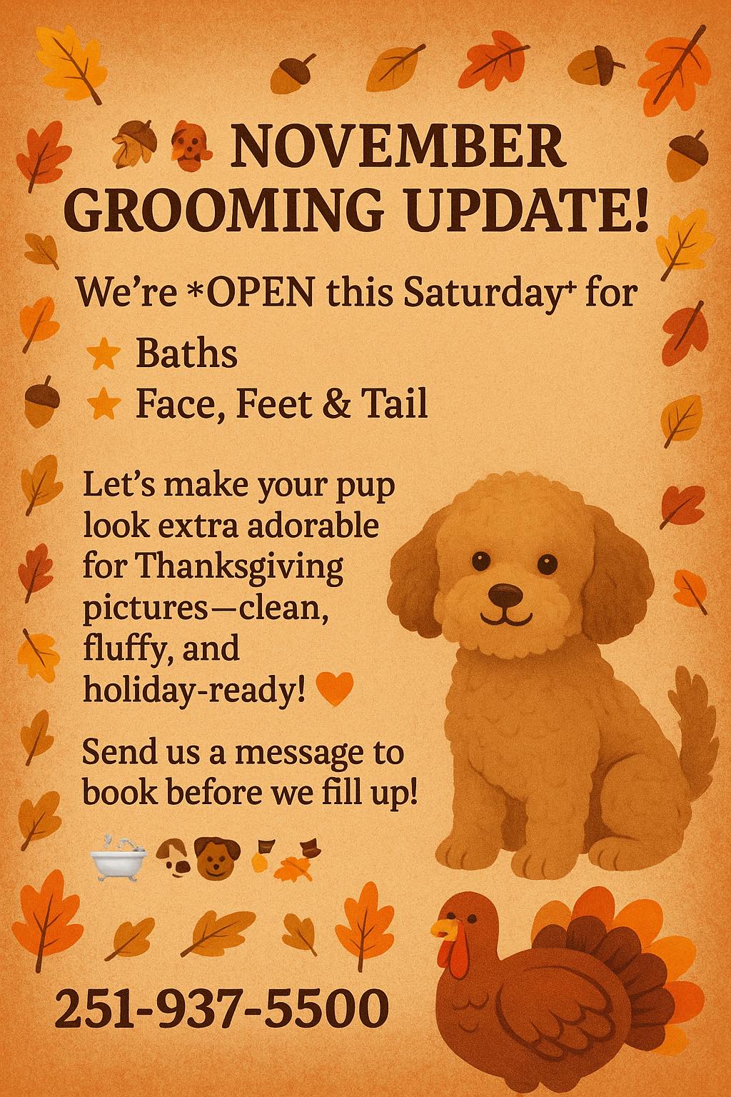 Town & Country Pet Grooming