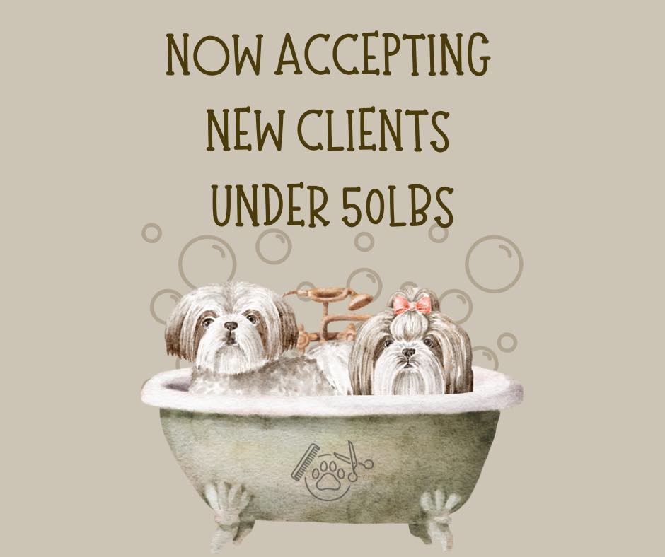 Country Canine Grooming Candler