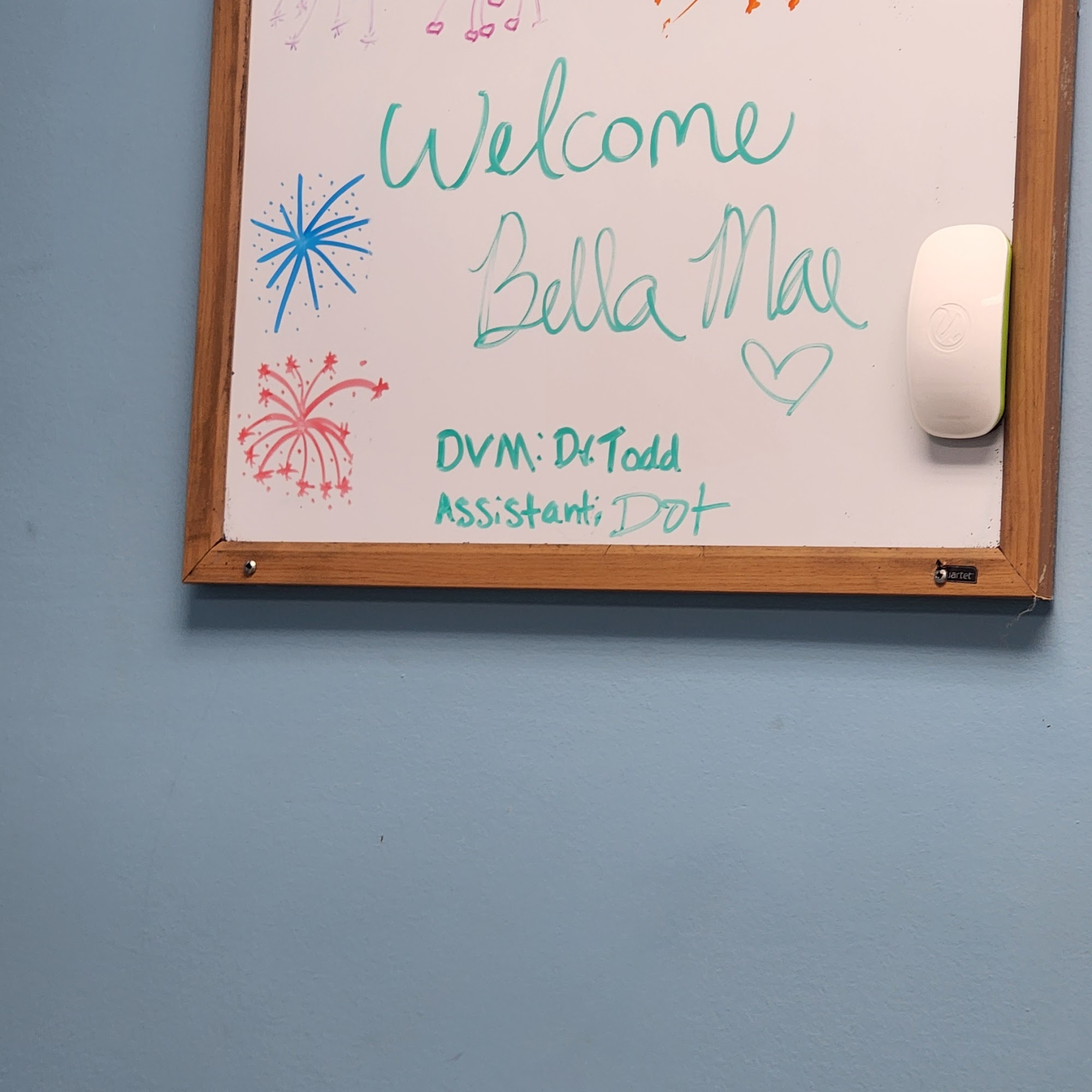 Pleasure Island Animal Hospital Carolina Beach